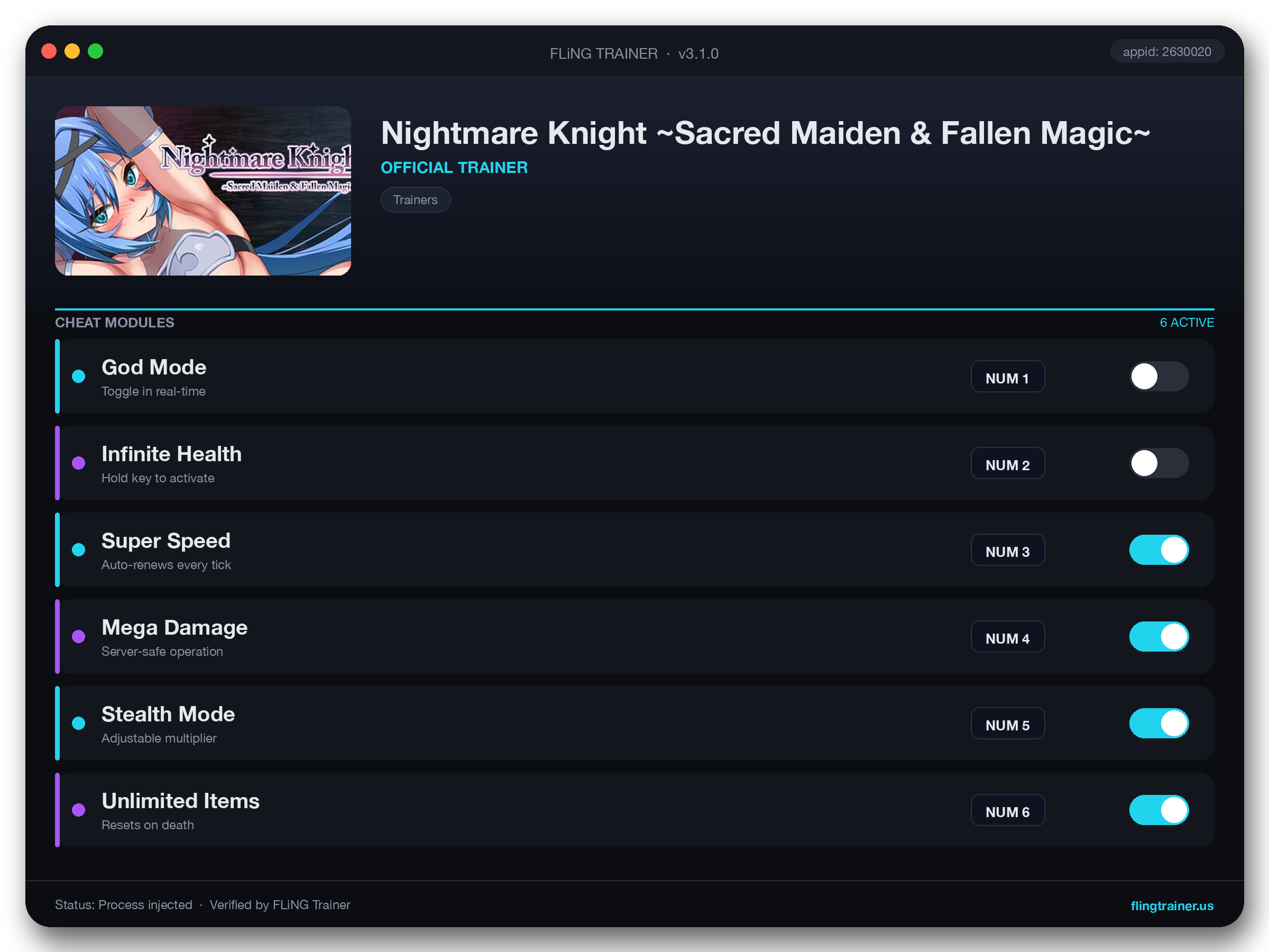Nightmare Knight ~Sacred Maiden & Fallen Magic~ Trainer interface