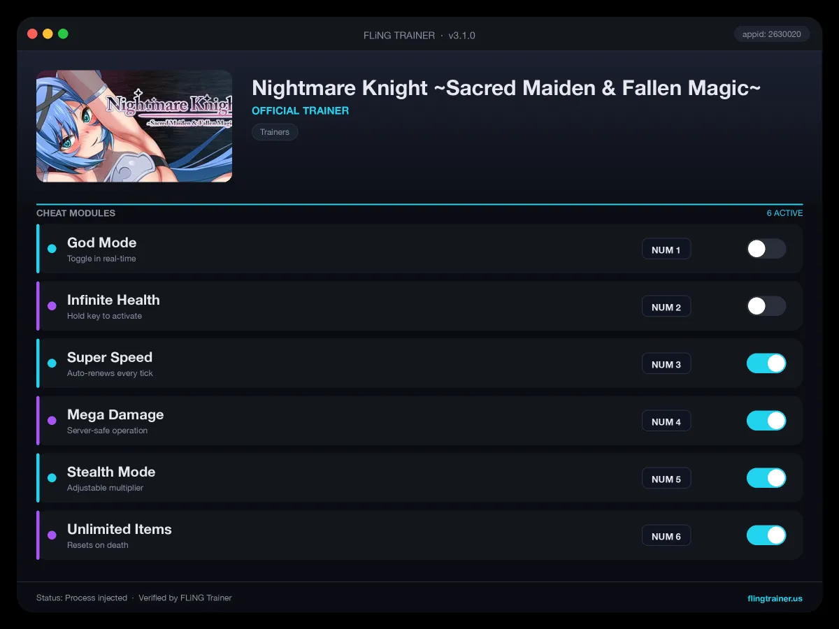 Nightmare Knight ~Sacred Maiden & Fallen Magic~ Trainer interface
