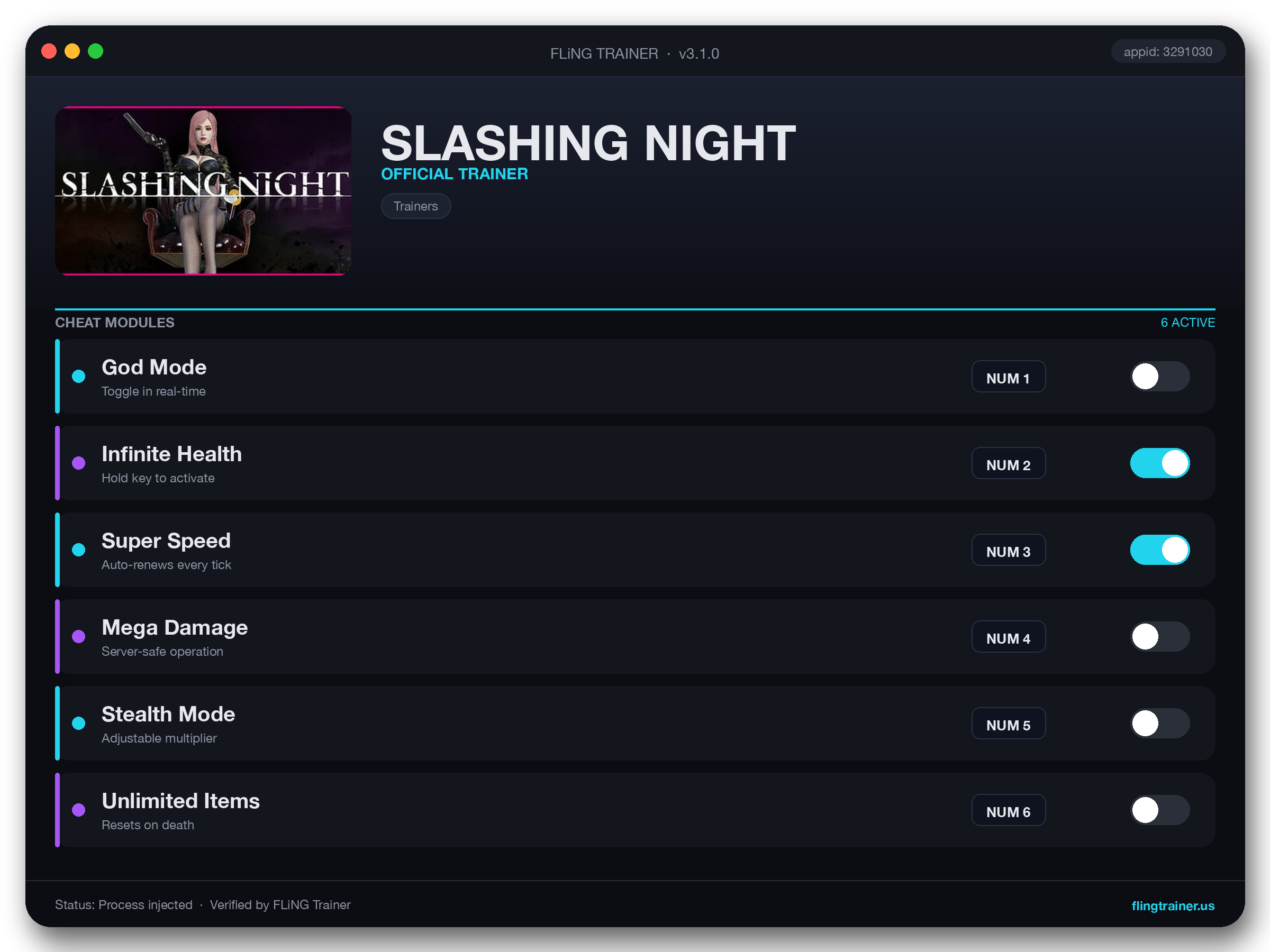 SLASHING NIGHT Trainer interface