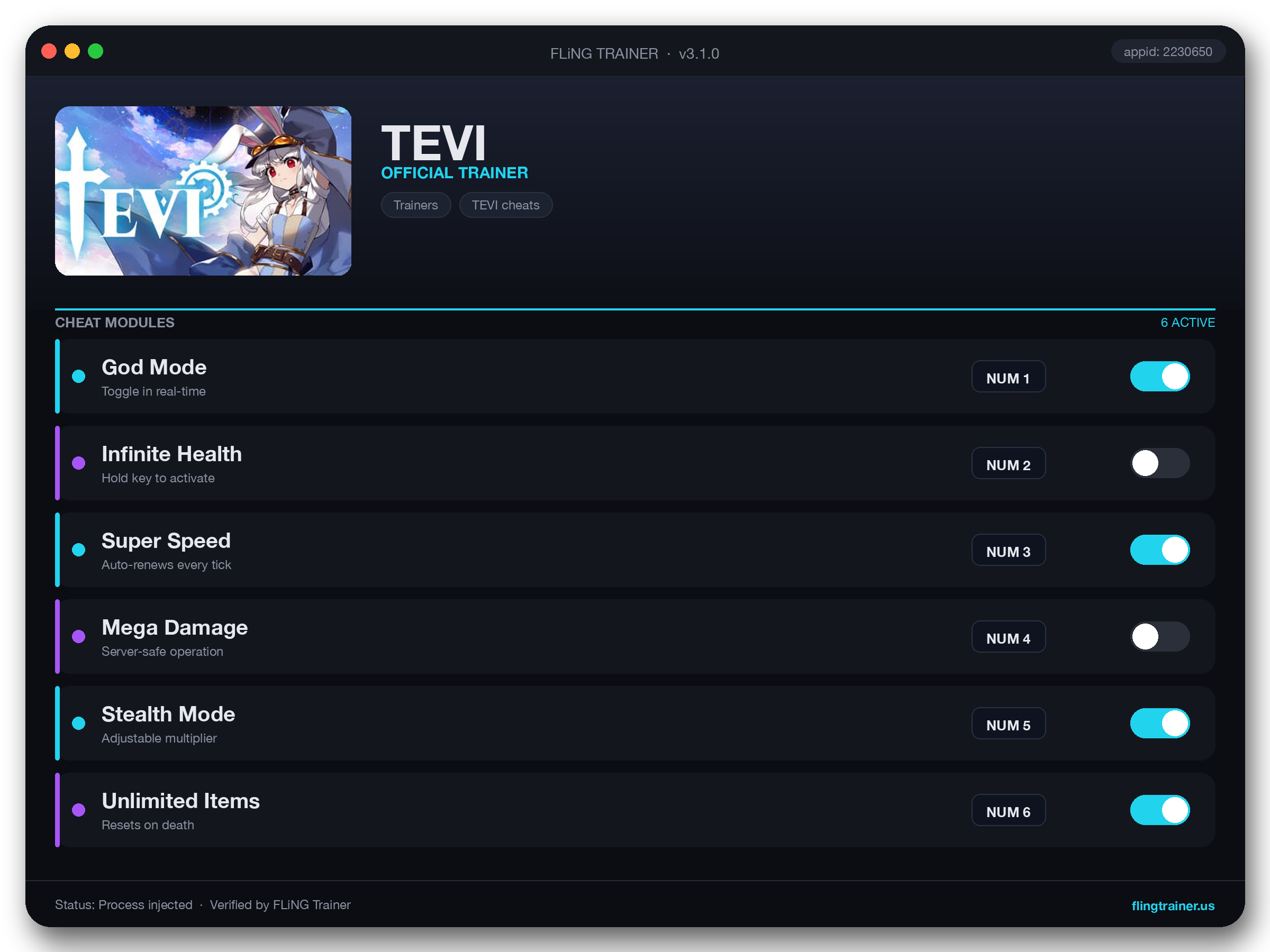 TEVI Trainer interface
