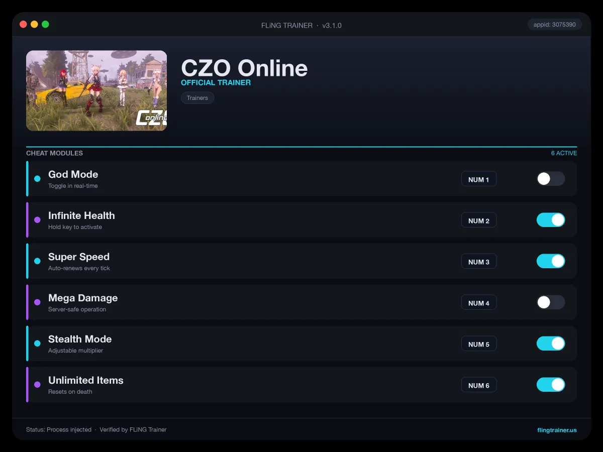 CZO Online Trainer interface