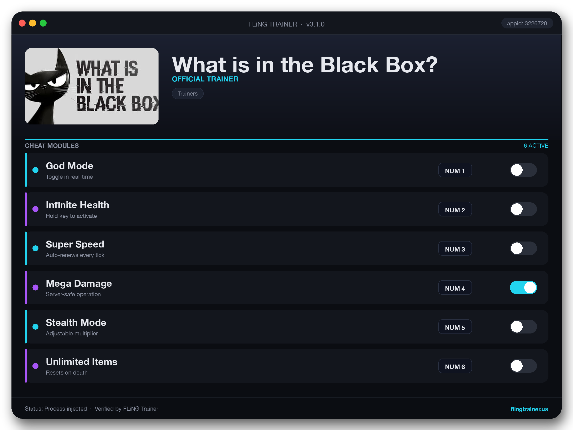 What is in the Black Box? Trainer interface