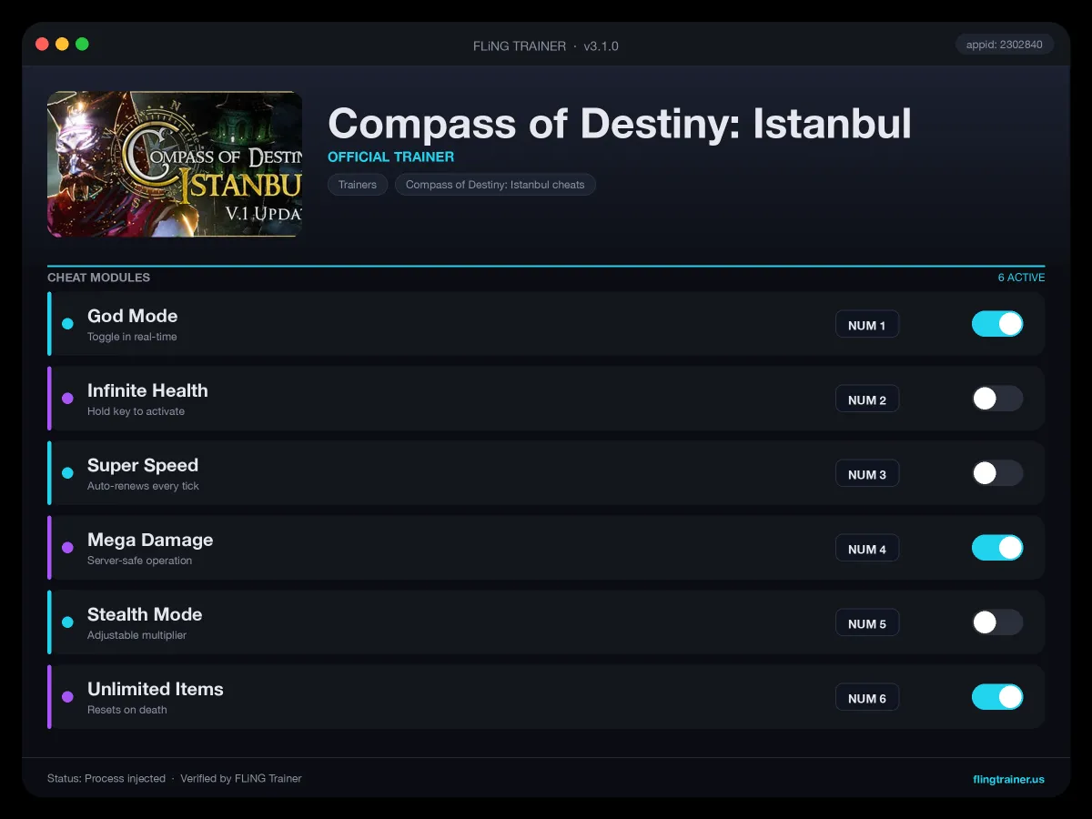 Compass of Destiny: Istanbul Trainer interface