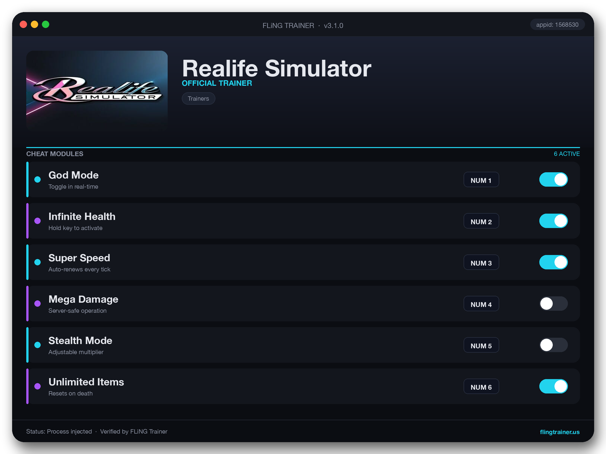 Realife Simulator Trainer interface
