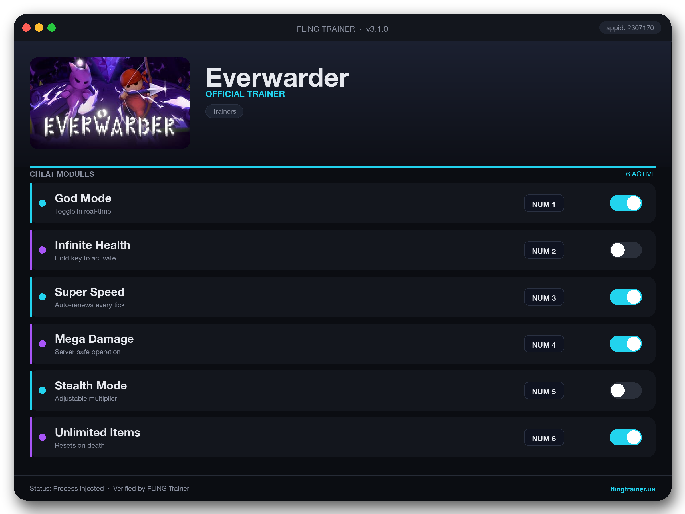 Everwarder Trainer interface