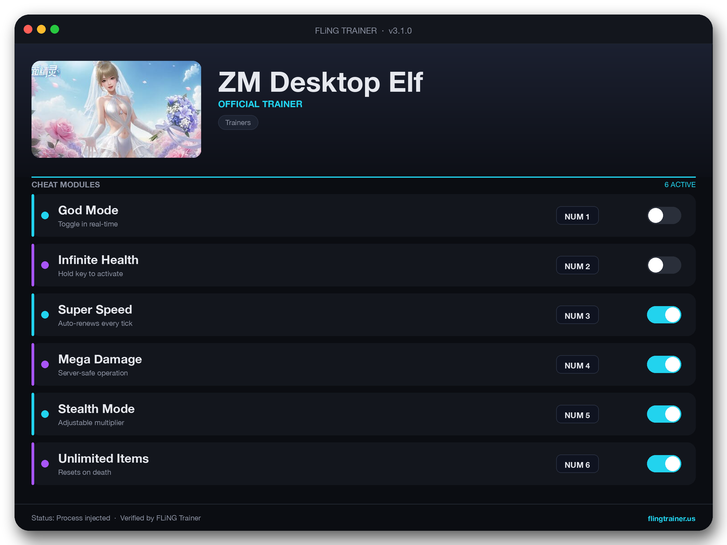 ZM Desktop Elf Trainer interface