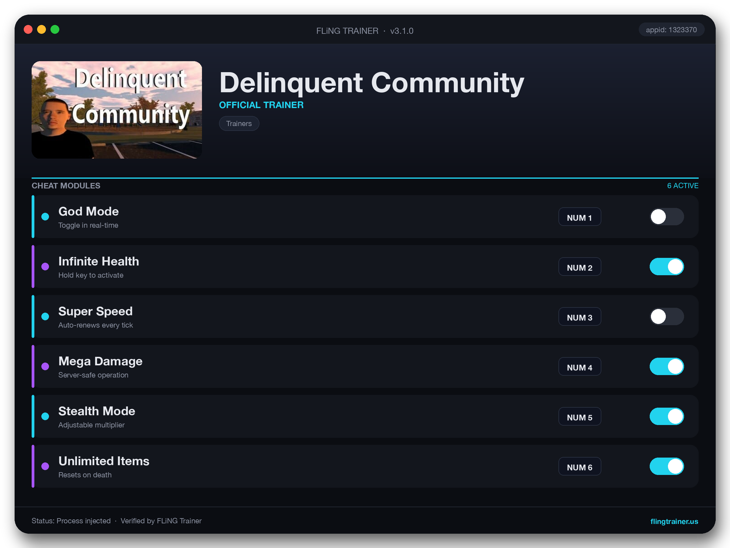 Delinquent Community Trainer interface
