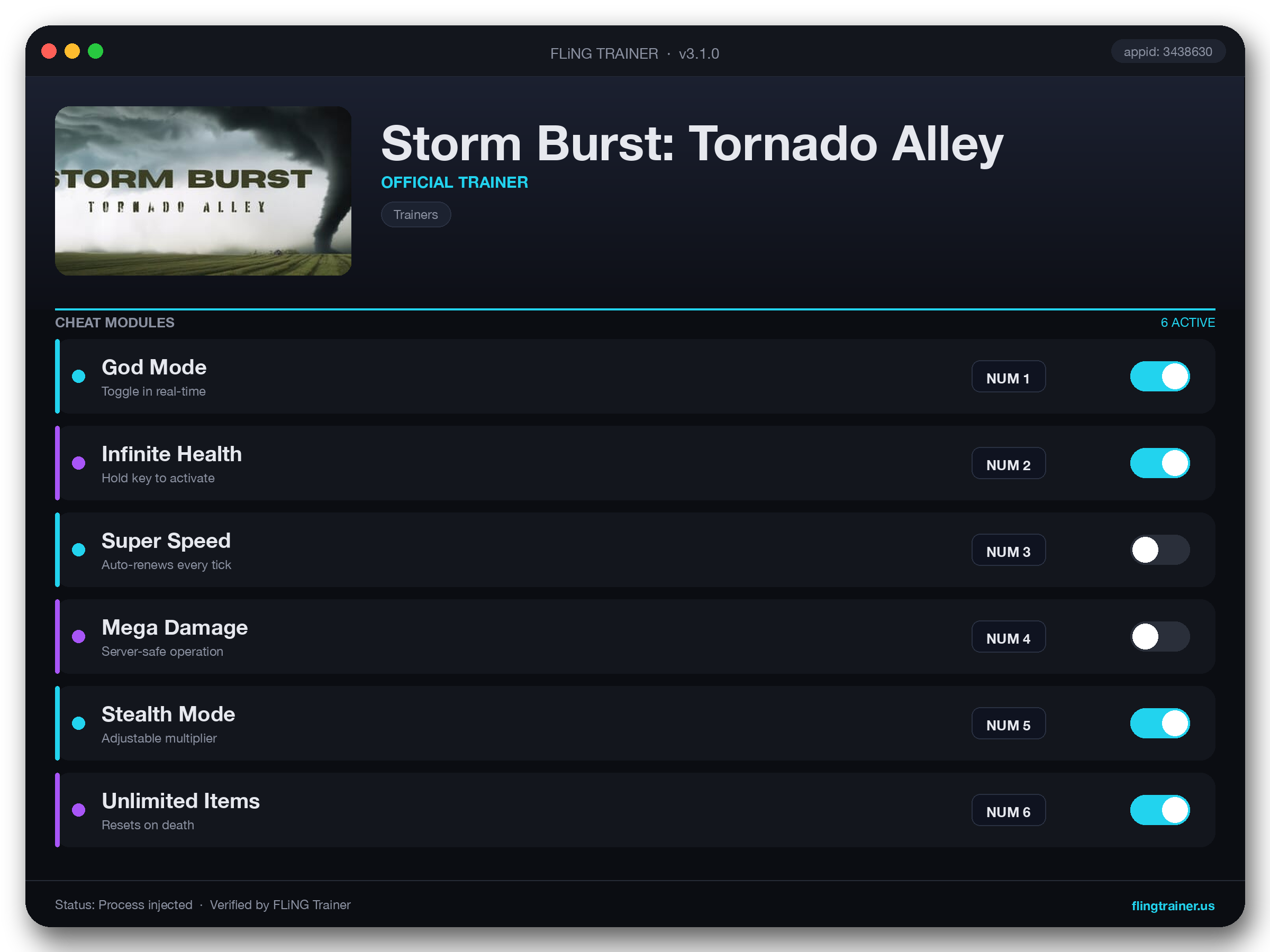 Storm Burst: Tornado Alley Trainer interface
