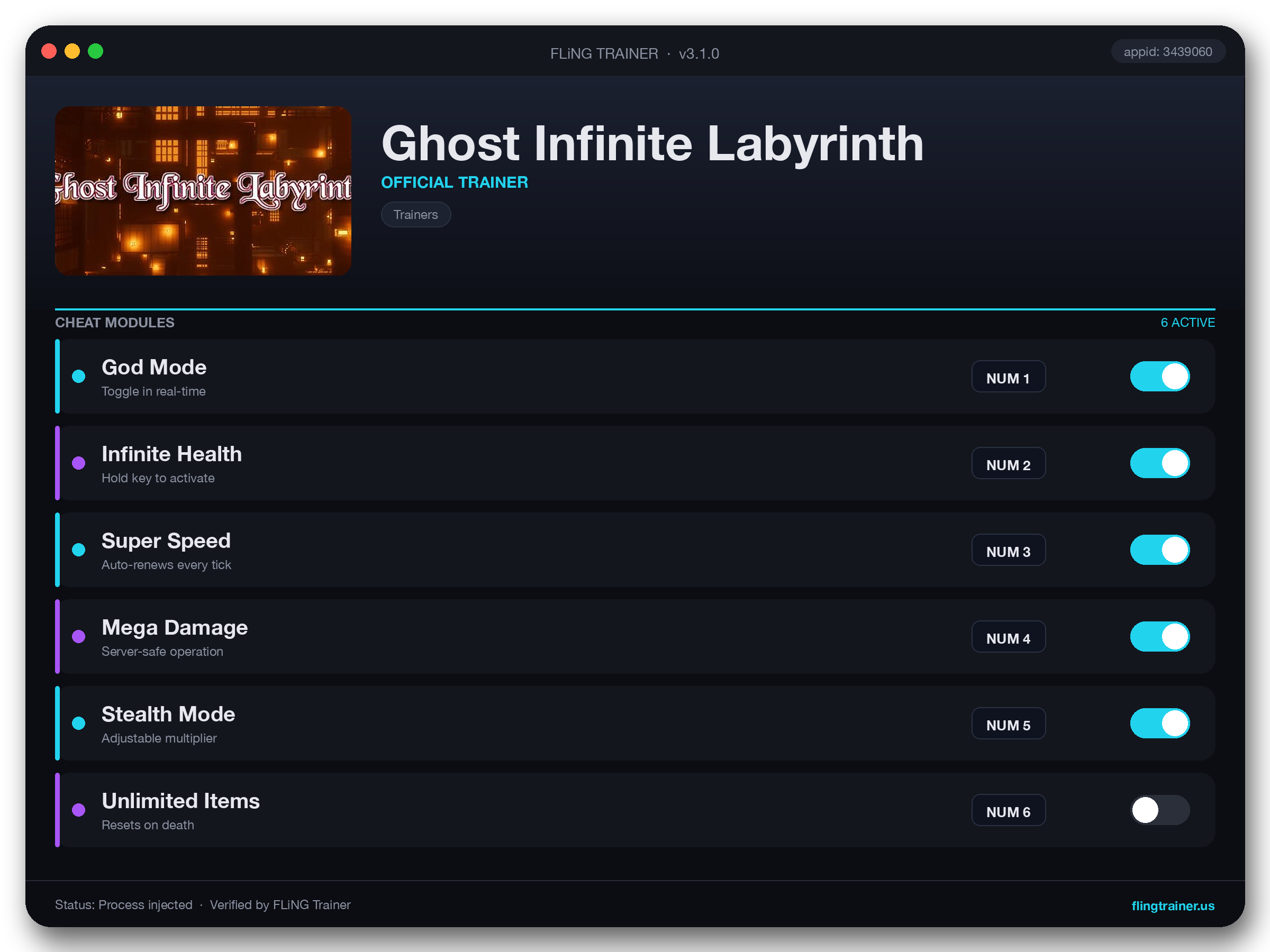 Ghost Infinite Labyrinth Trainer interface
