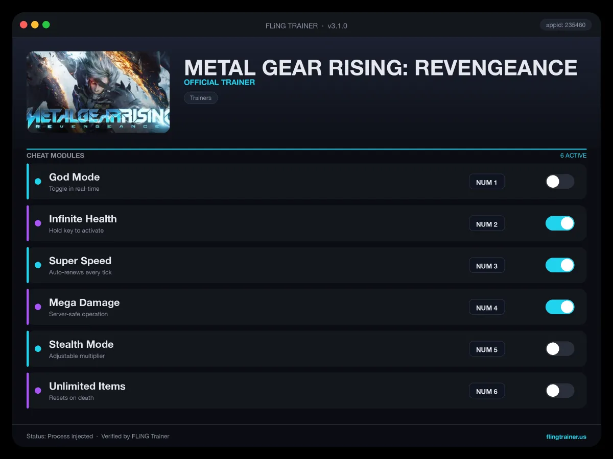 METAL GEAR RISING: REVENGEANCE Trainer interface