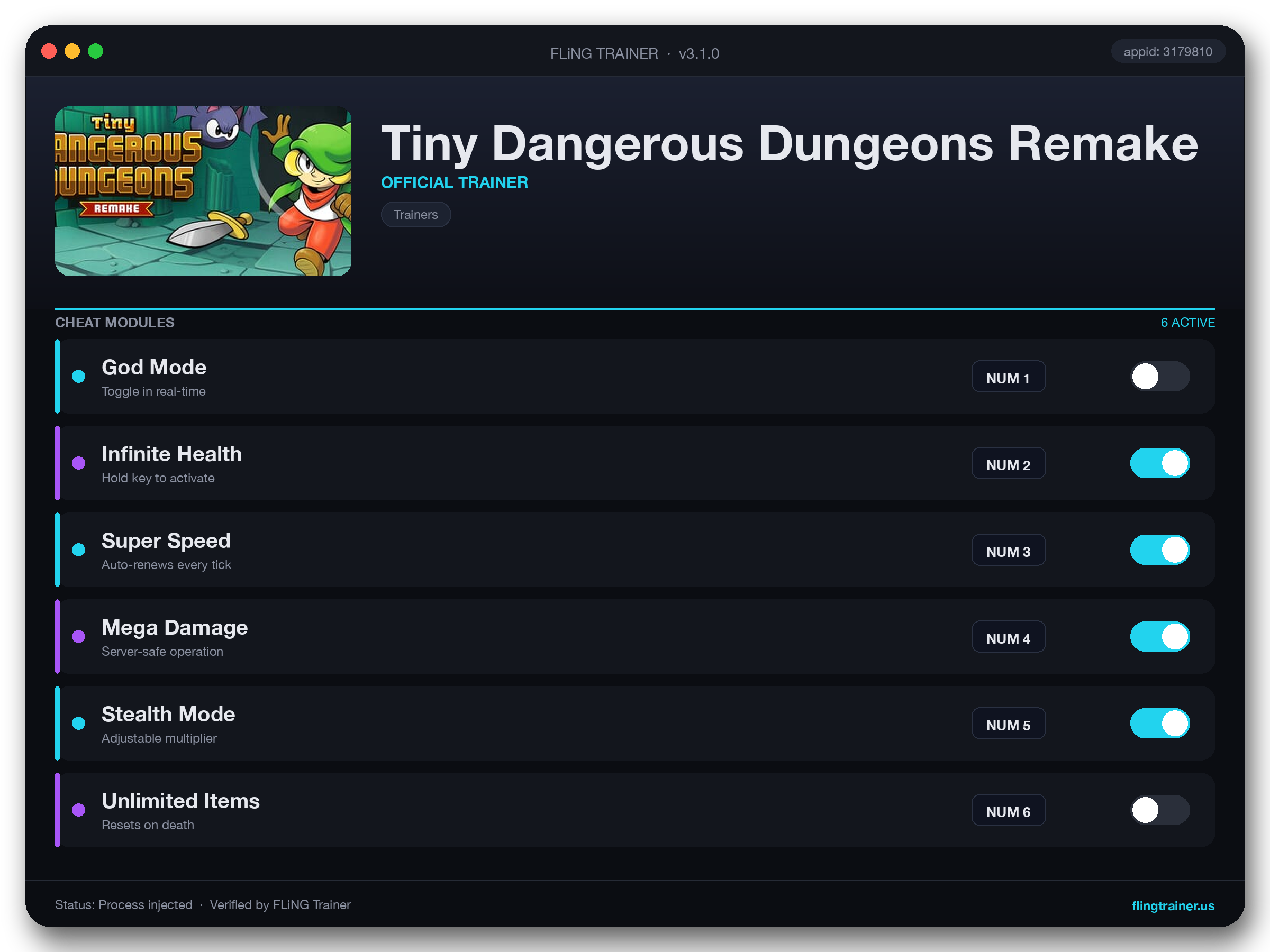 Tiny Dangerous Dungeons Remake Trainer interface