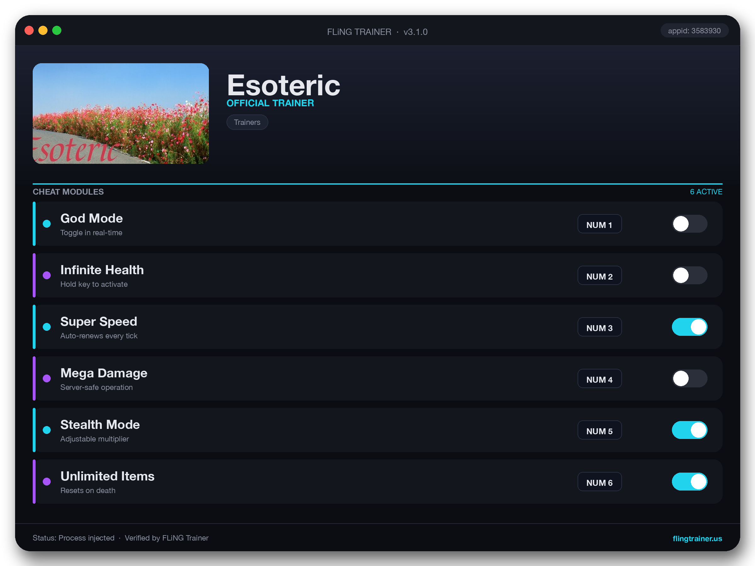Esoteric Trainer interface