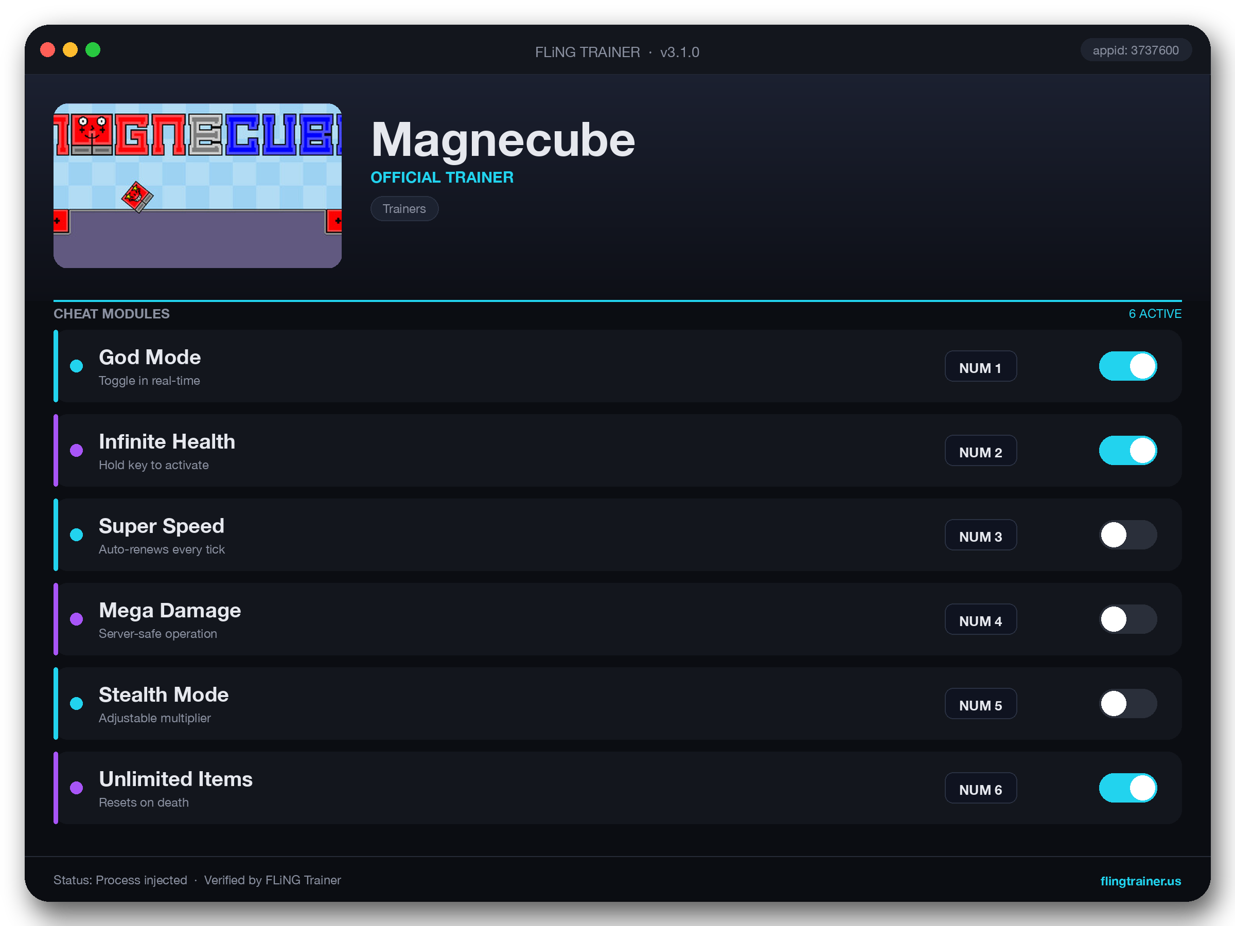 Magnecube Trainer interface