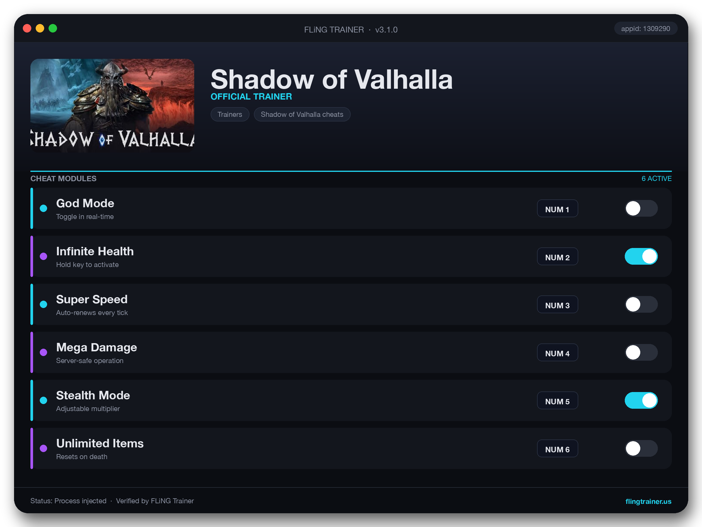 Shadow of Valhalla Trainer interface