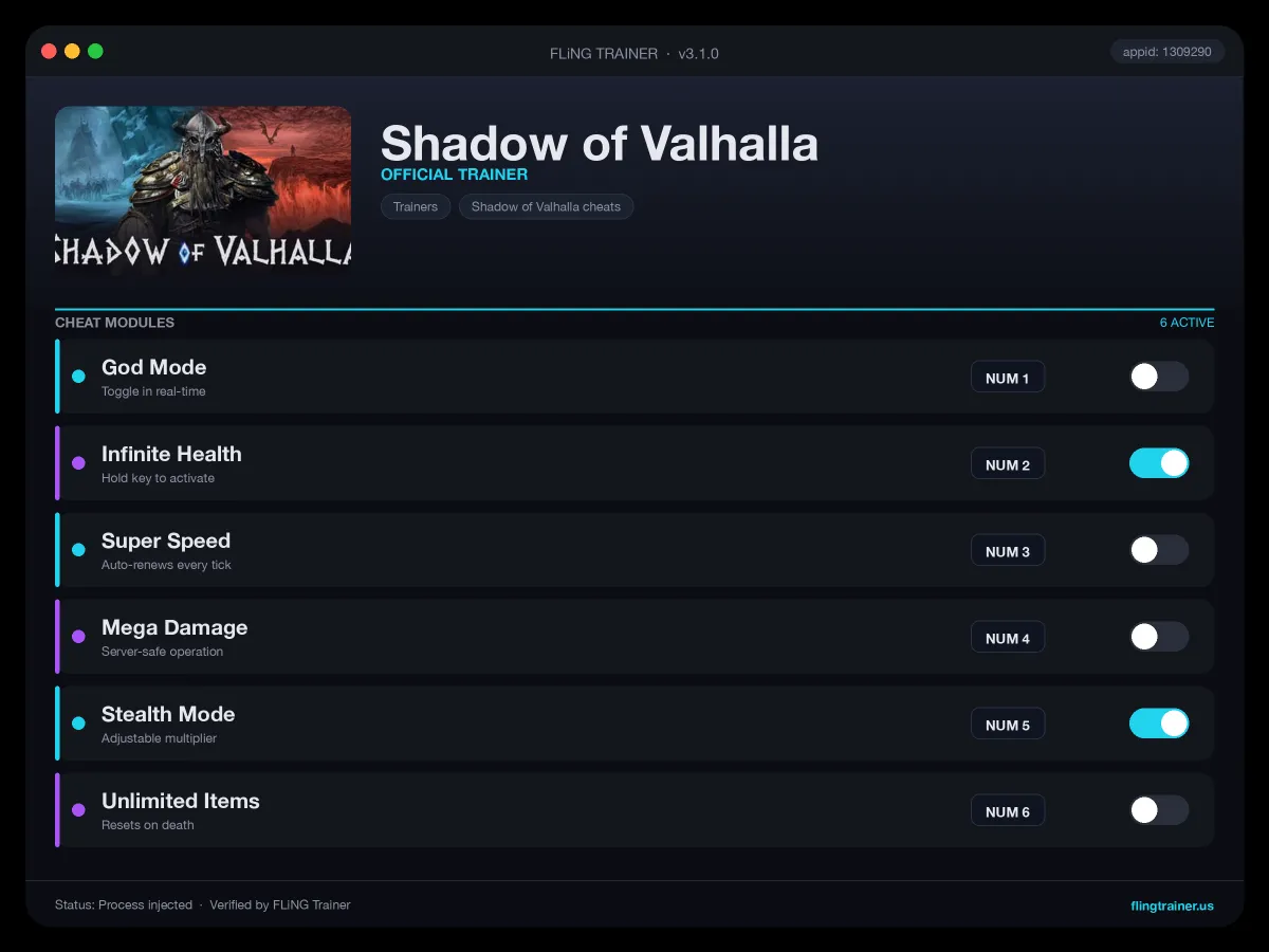 Shadow of Valhalla Trainer interface