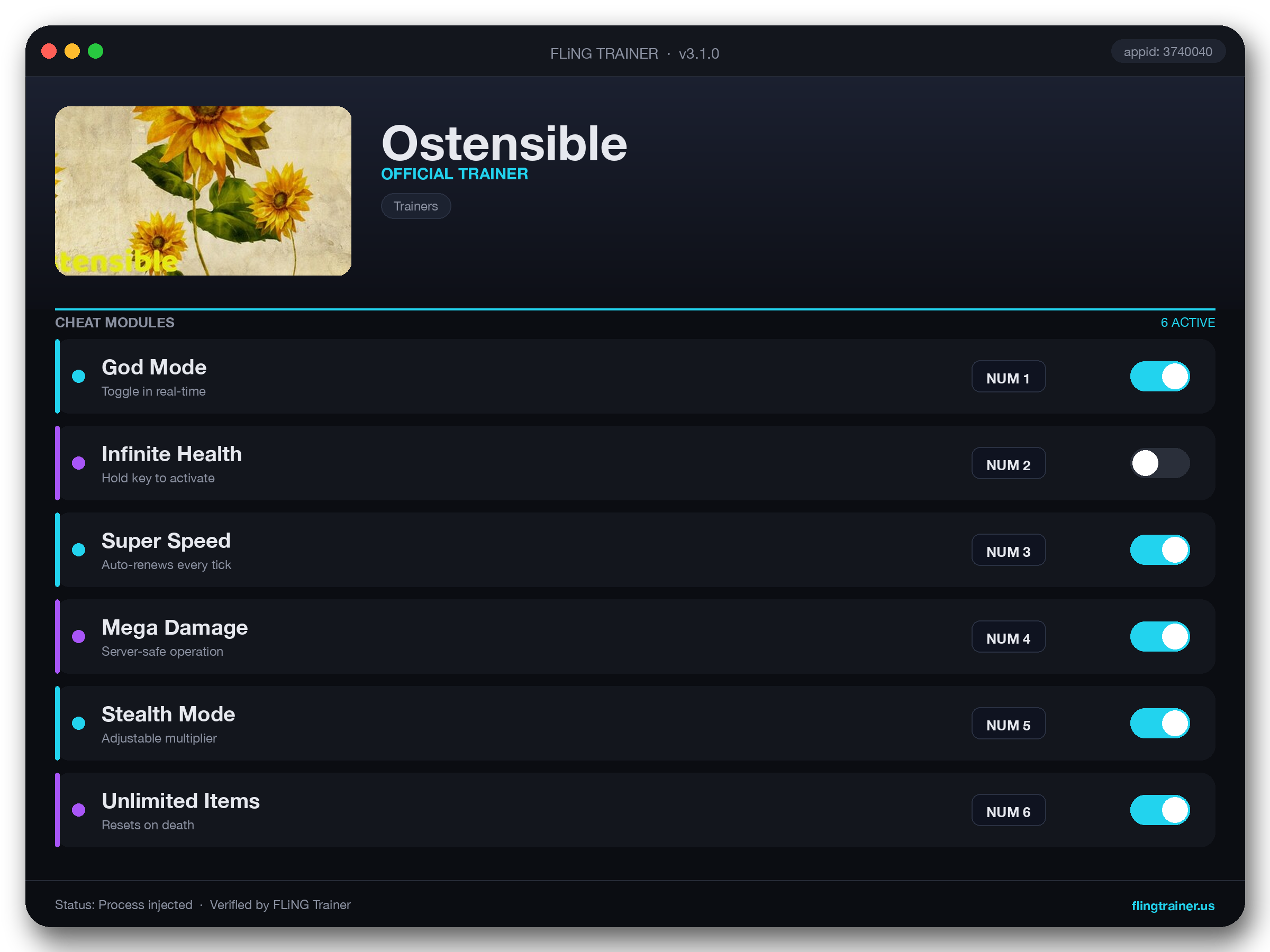 Ostensible Trainer interface