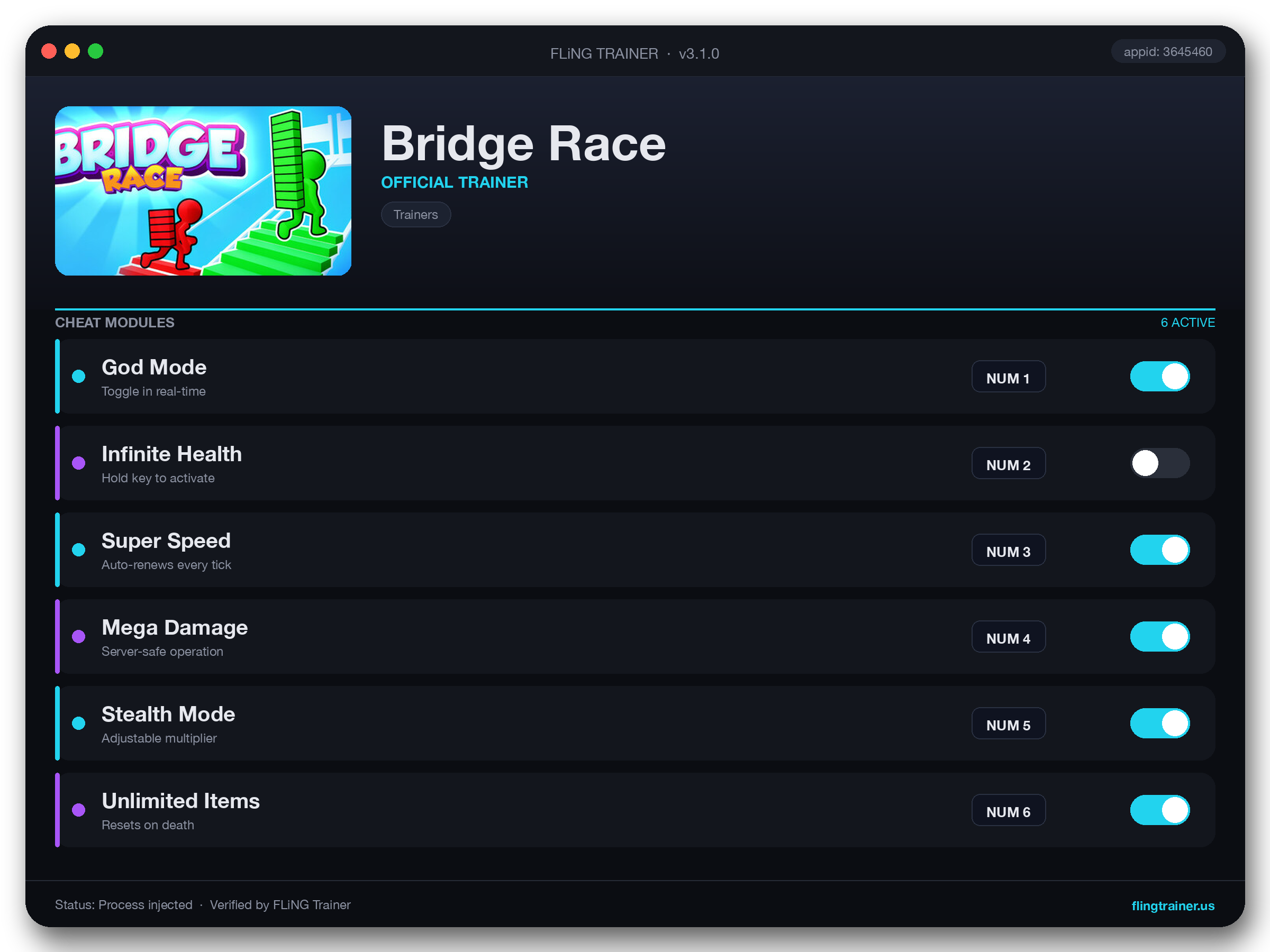 Bridge Race Trainer interface