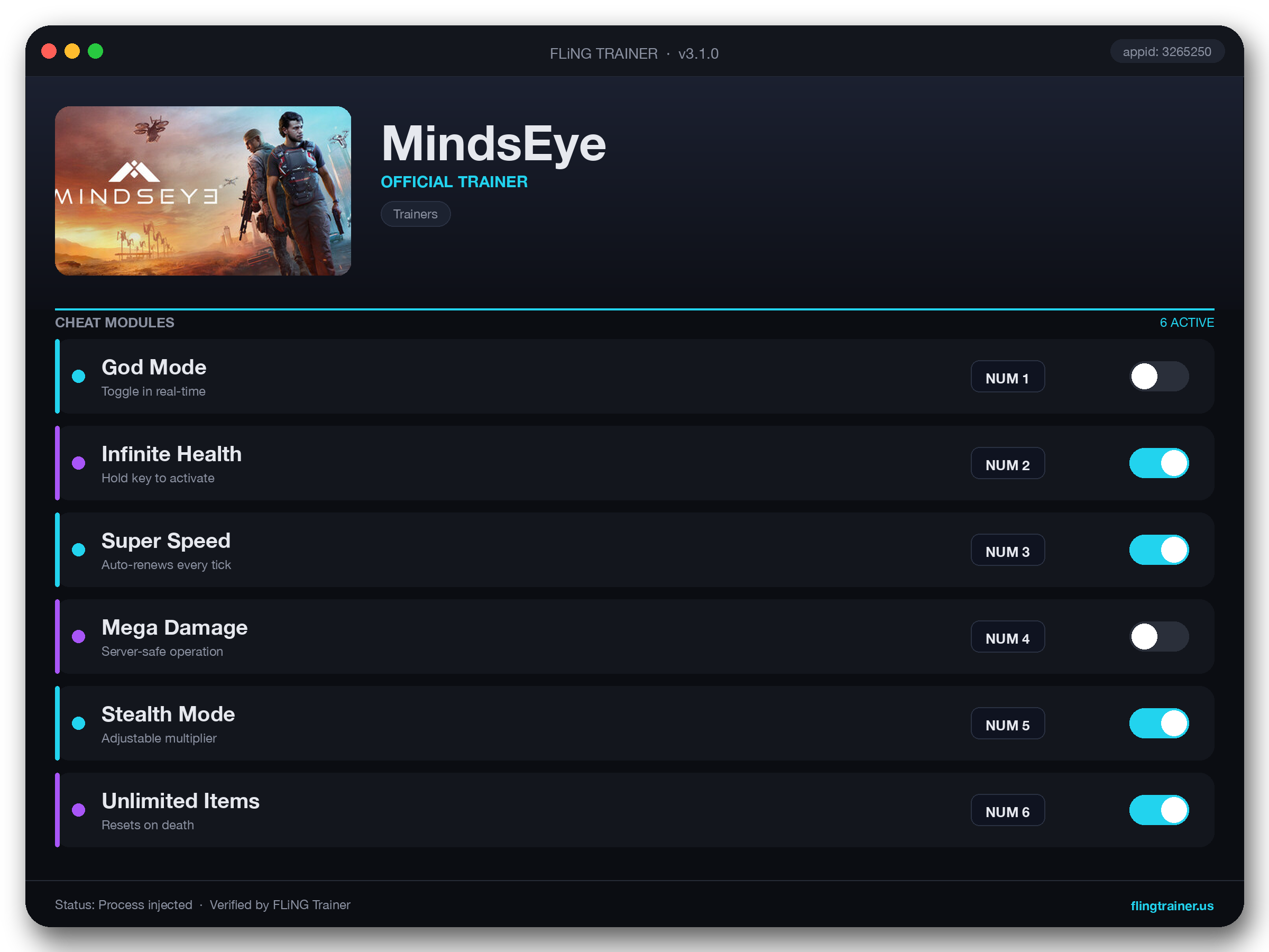 MindsEye Trainer interface