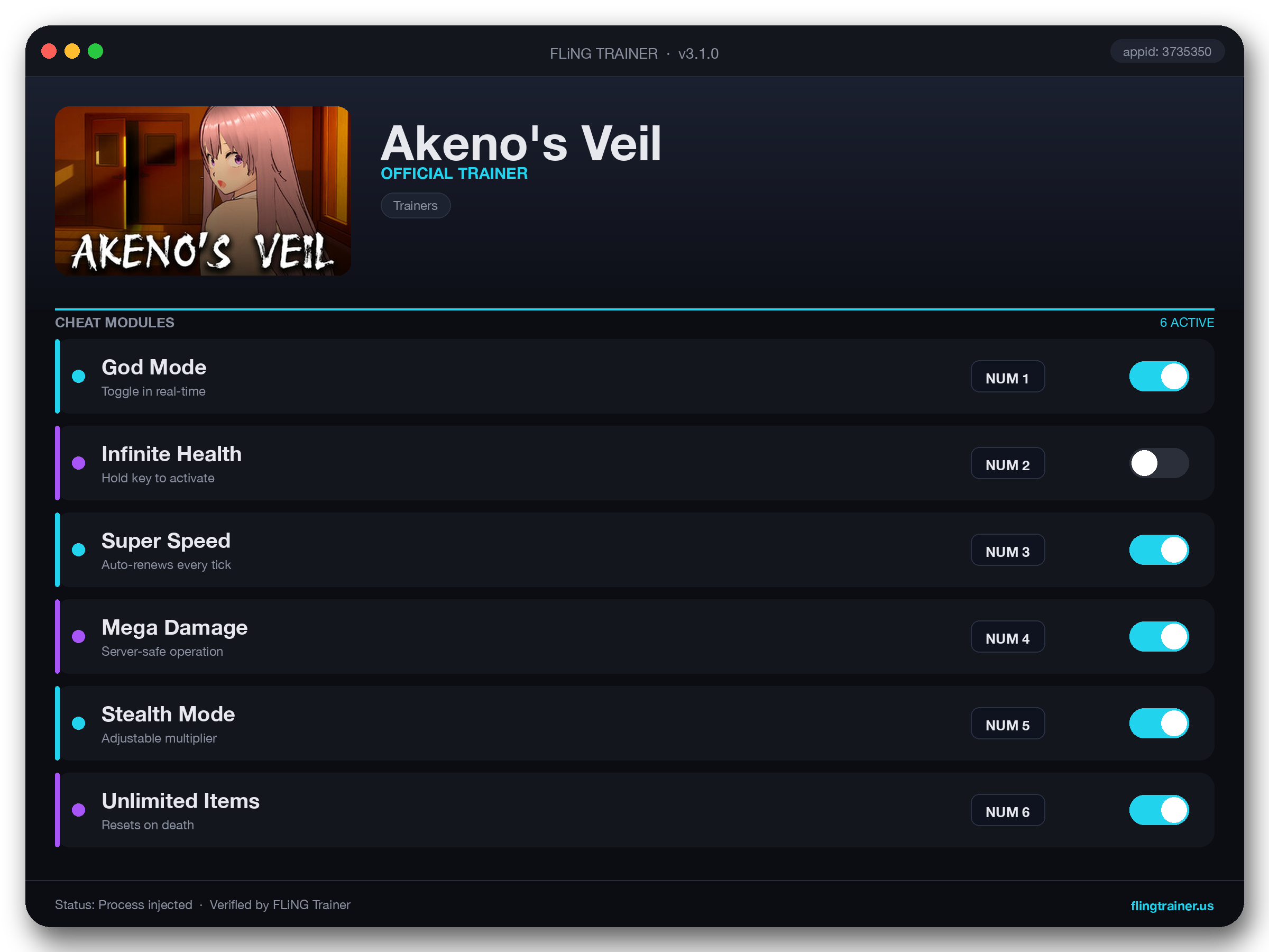 Akeno's Veil Trainer interface