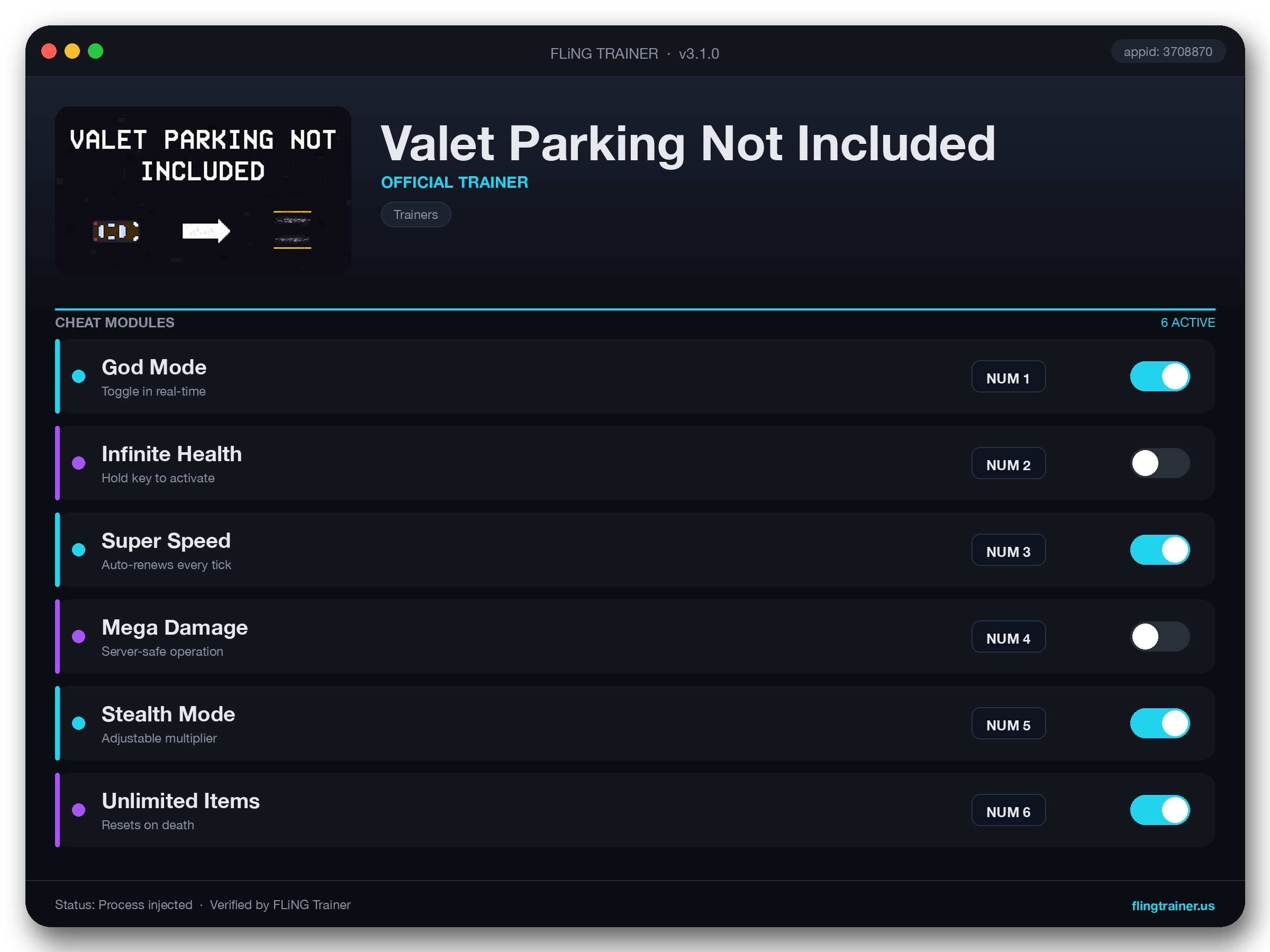 Valet Parking Not Included Trainer interface
