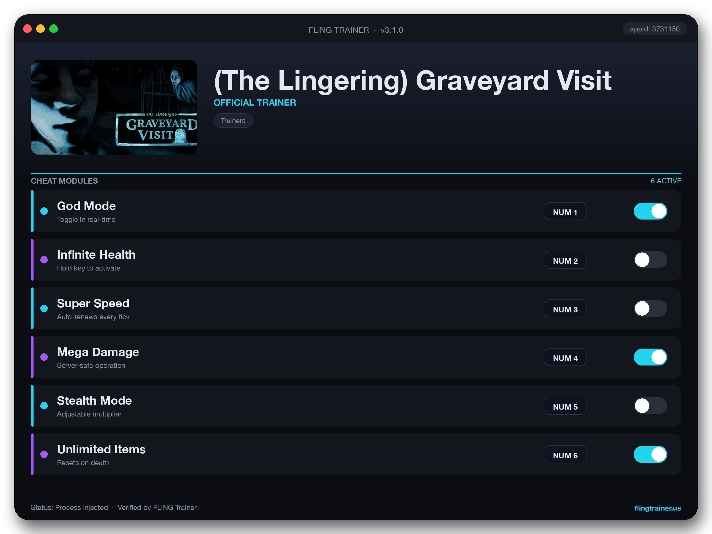 (The Lingering) Graveyard Visit Trainer interface