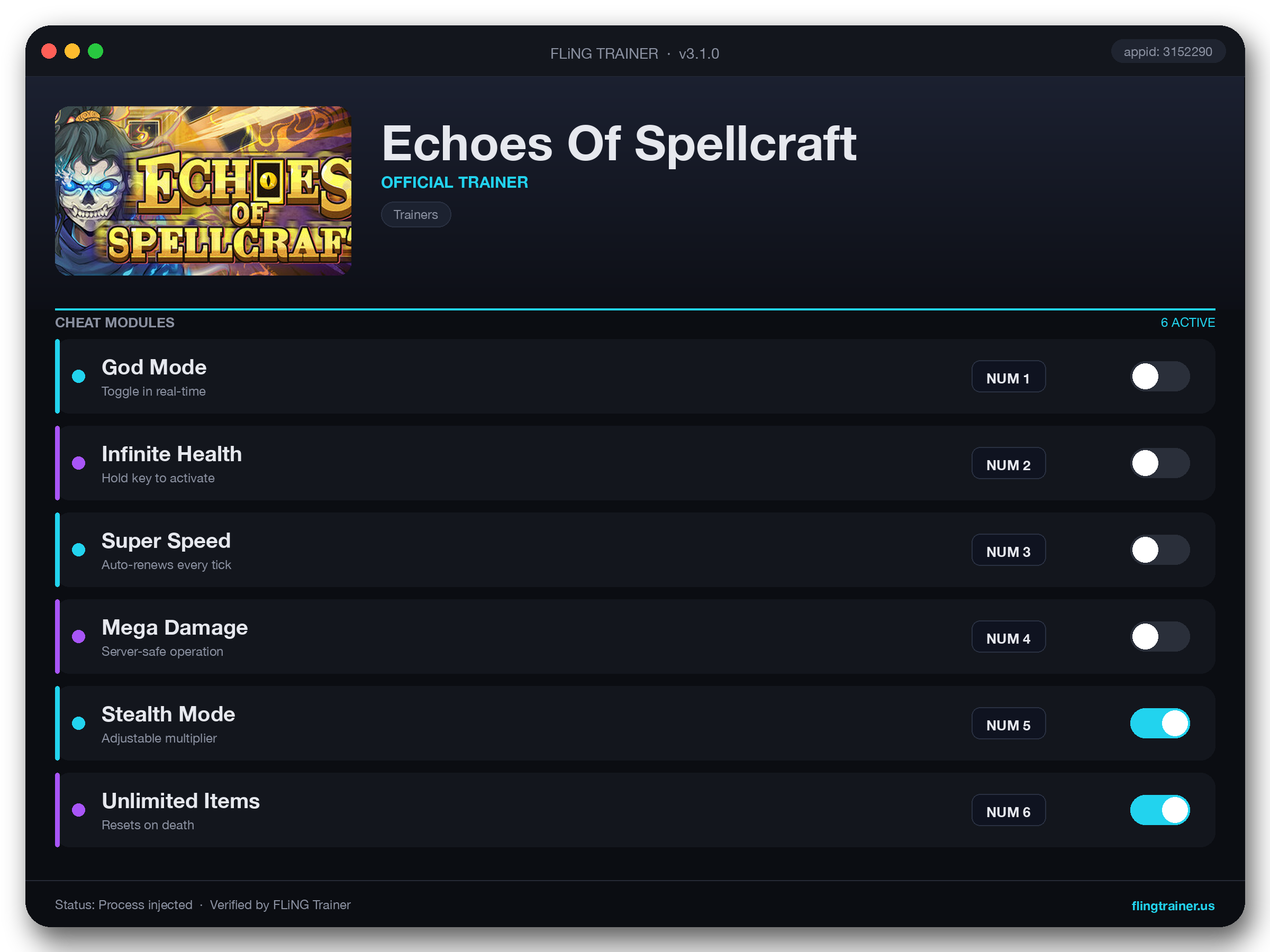 Echoes Of Spellcraft Trainer interface
