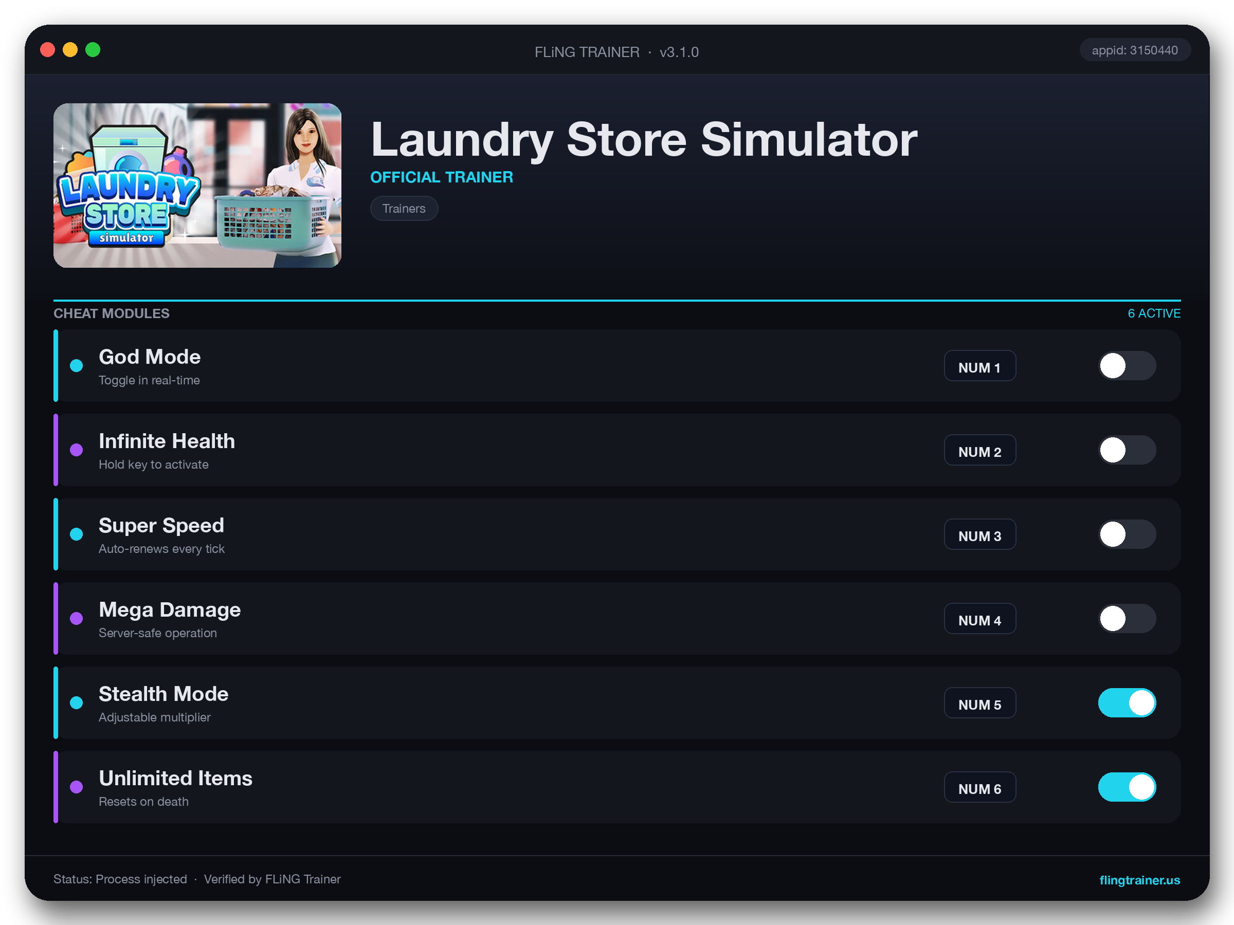 Laundry Store Simulator Trainer interface