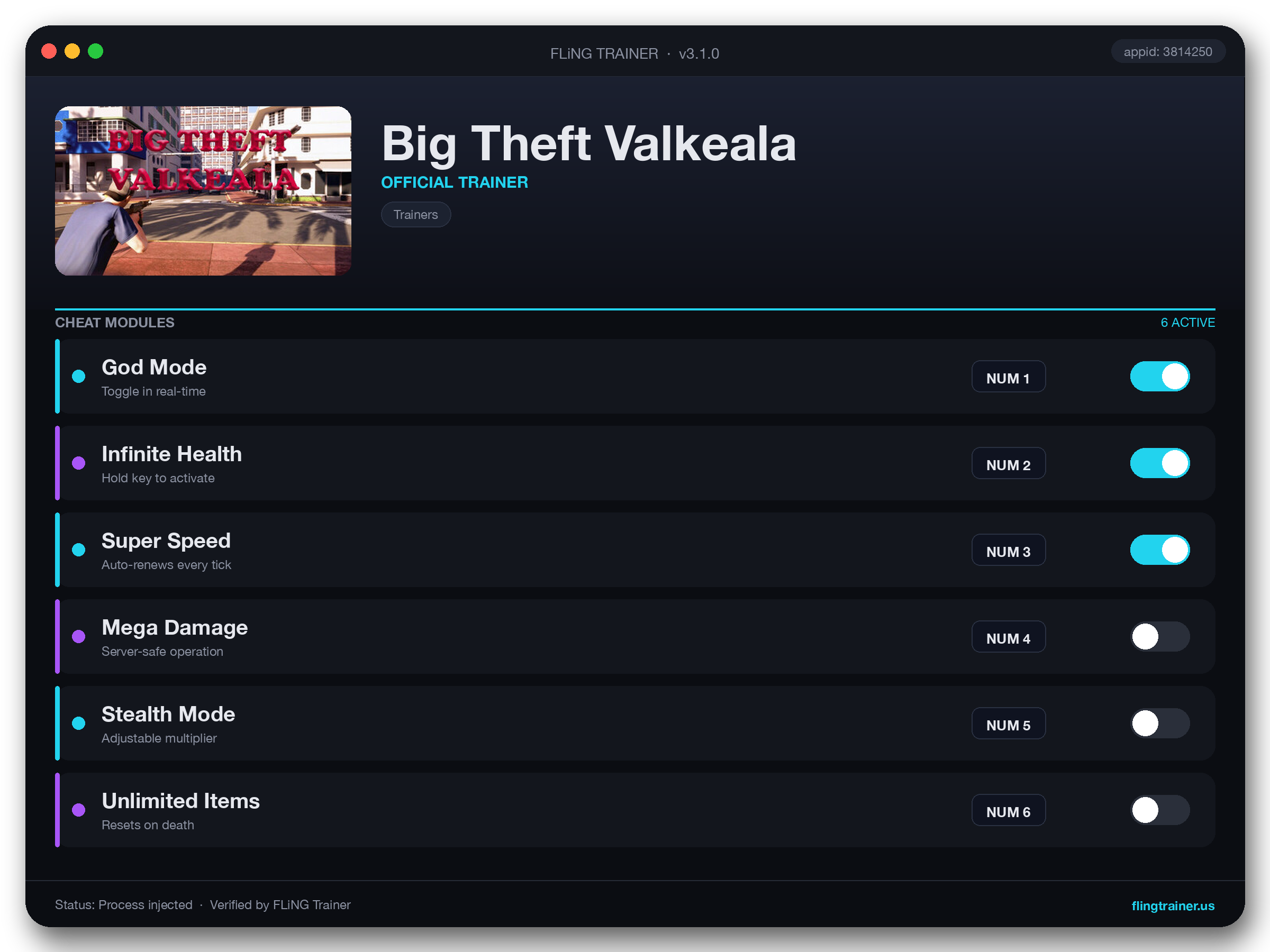 Big Theft Valkeala Trainer interface