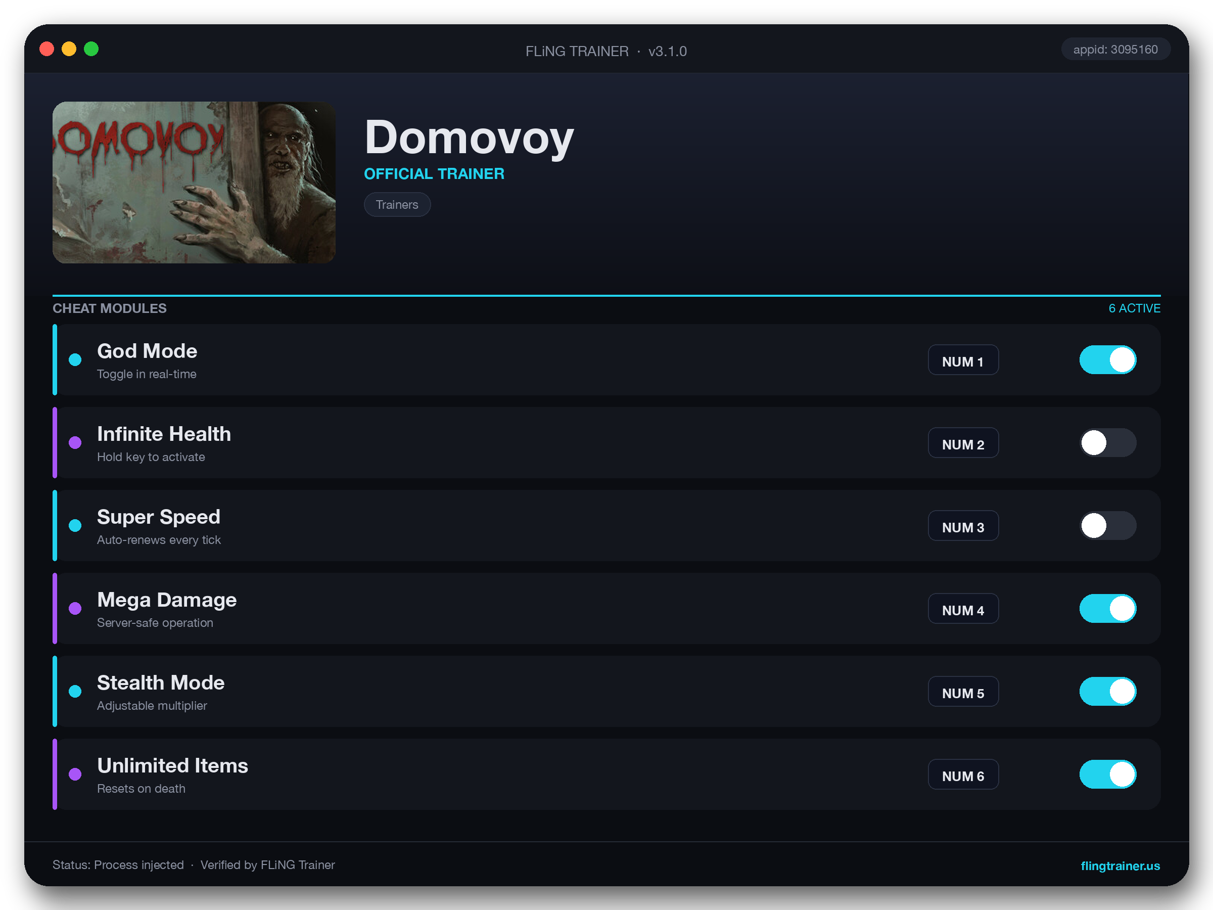 Domovoy Trainer interface