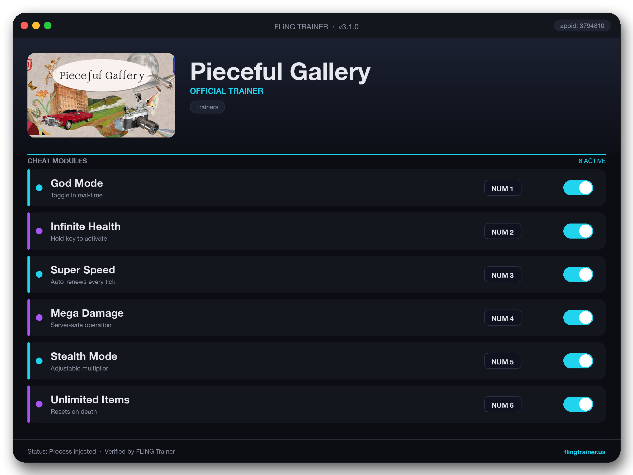 Pieceful Gallery Trainer interface