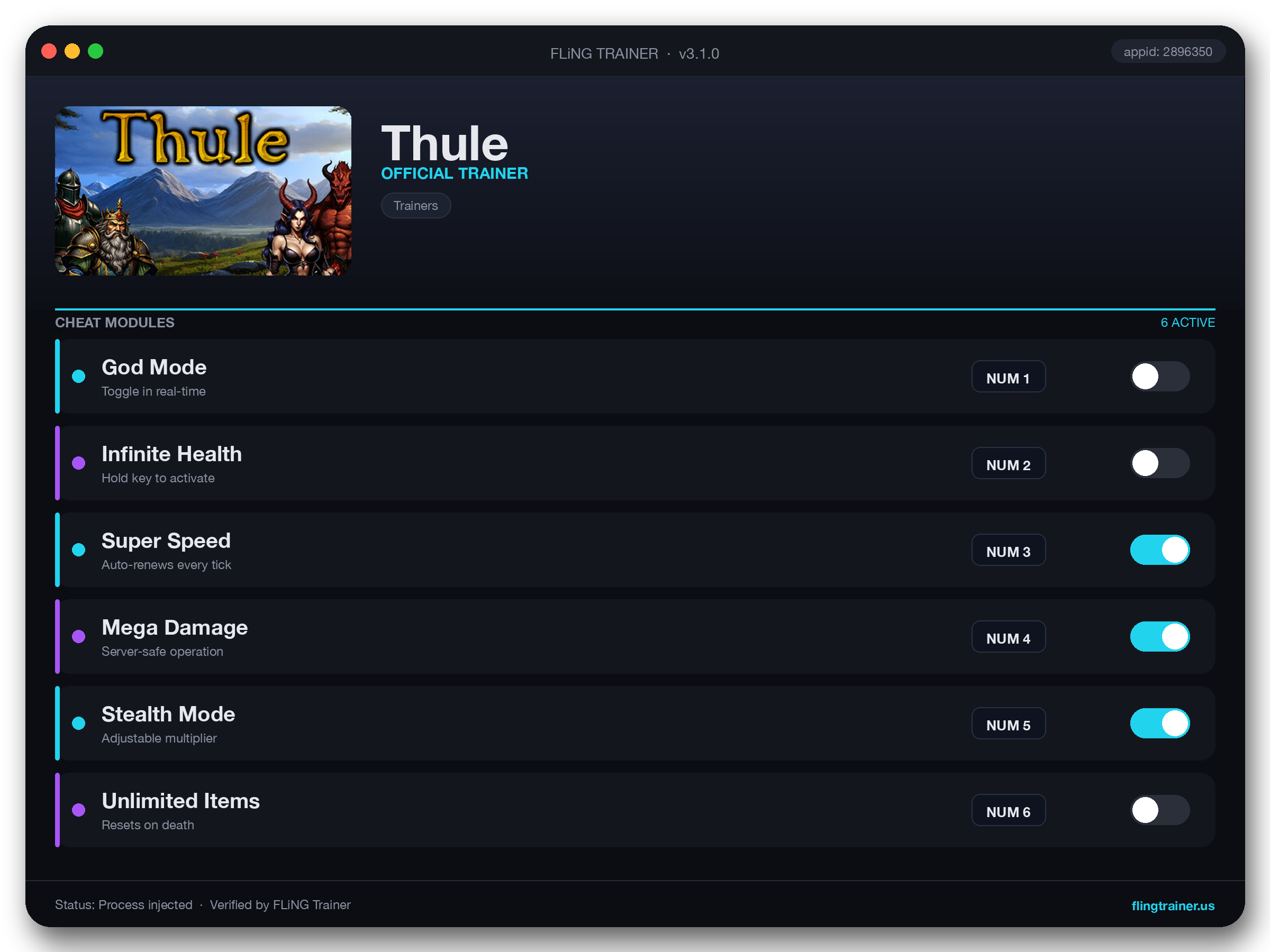 Thule Trainer interface