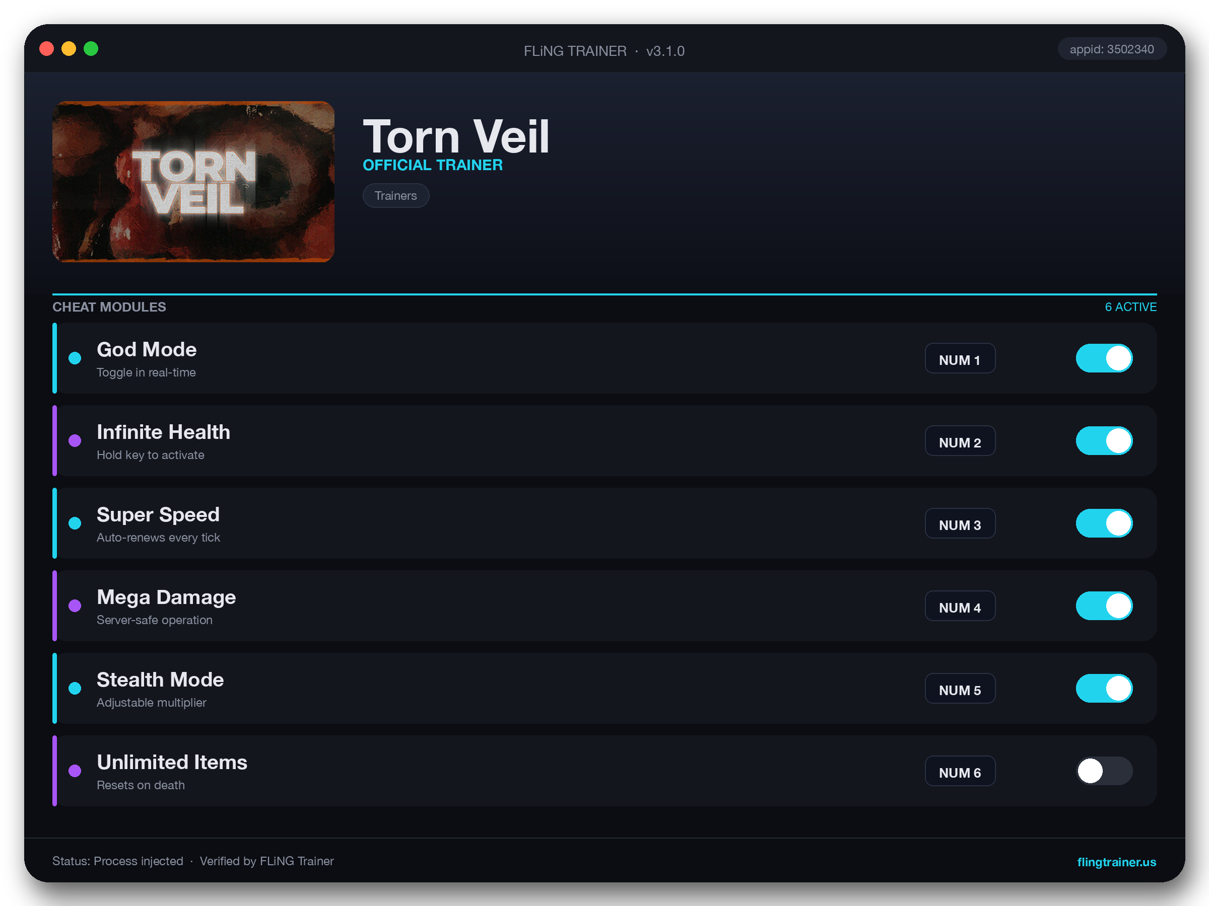 Torn Veil Trainer interface