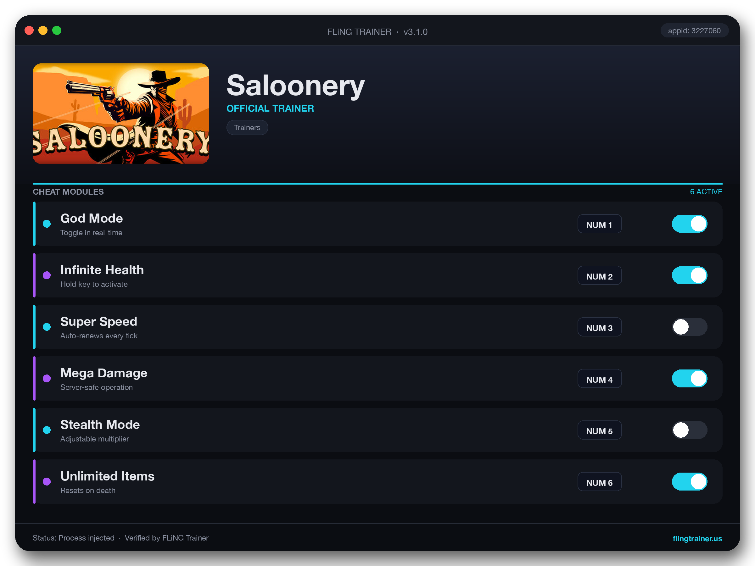 Saloonery Trainer interface