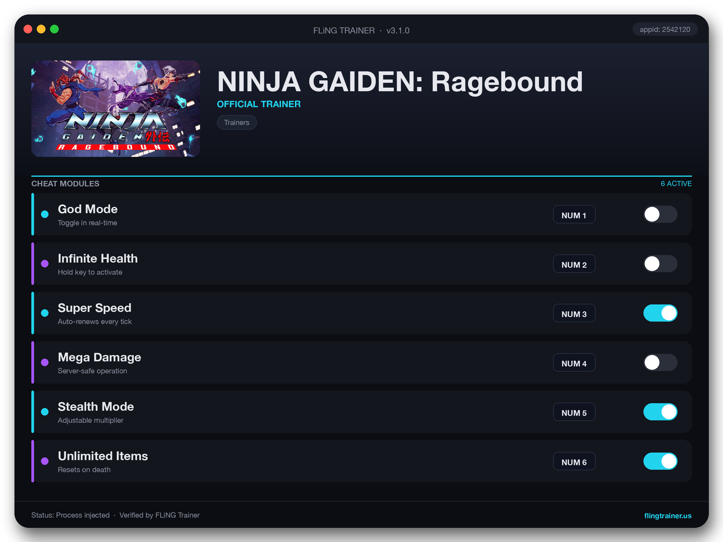 NINJA GAIDEN: Ragebound Trainer interface