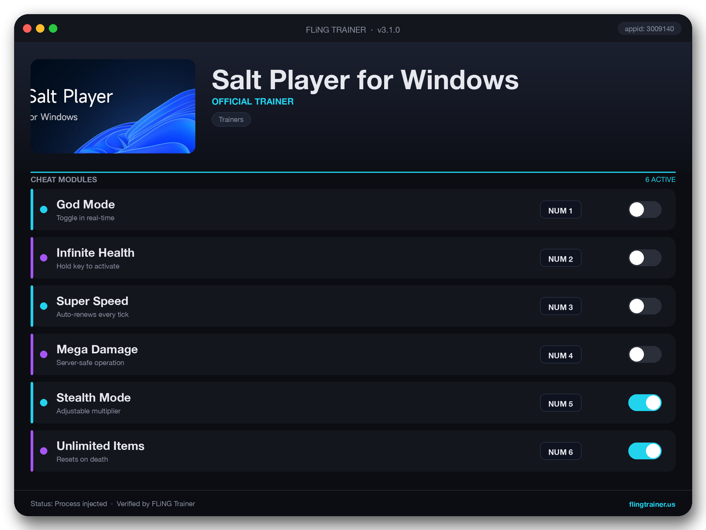 Salt Player for Windows Trainer interface