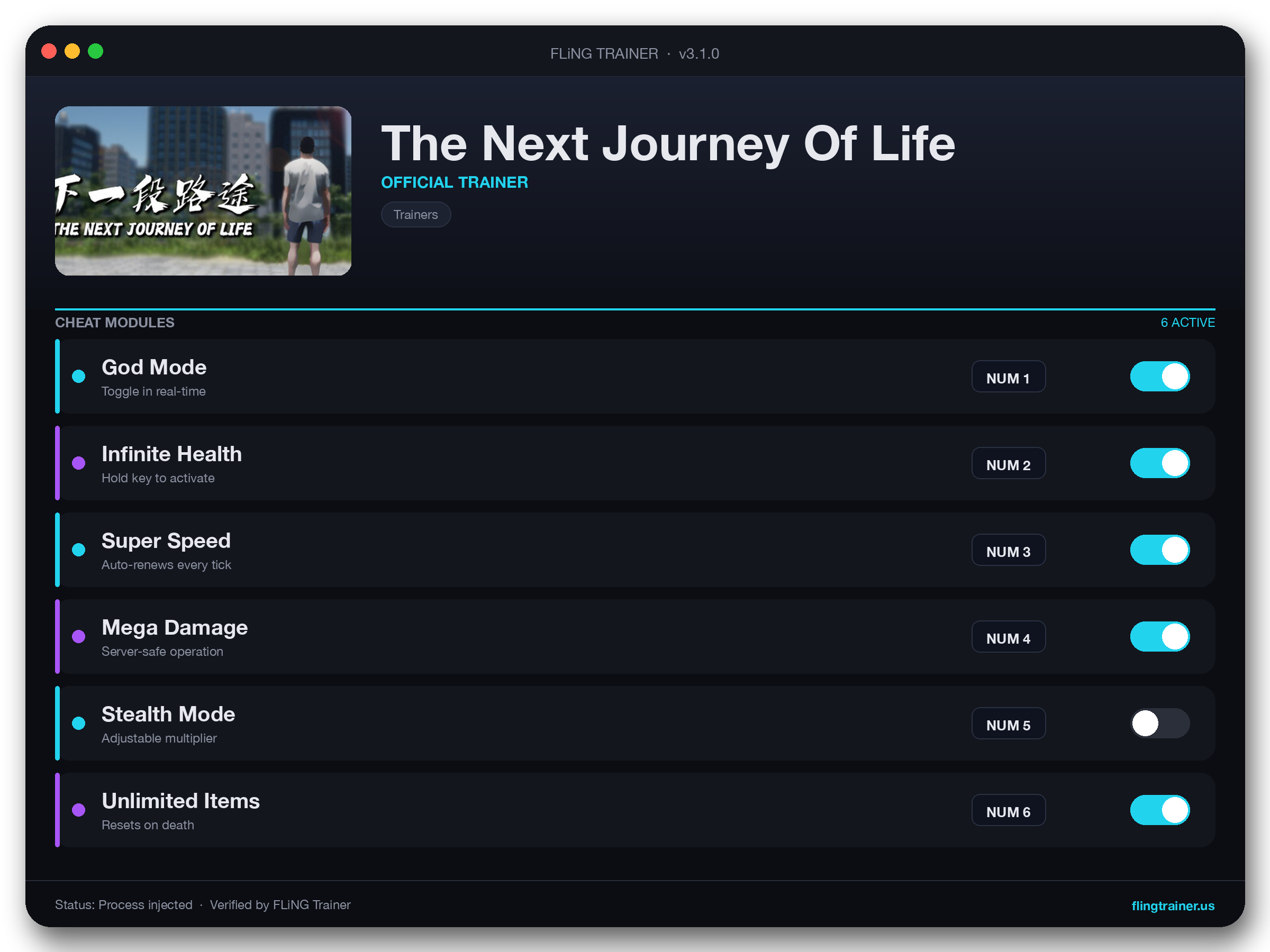 The Next Journey Of Life Trainer interface