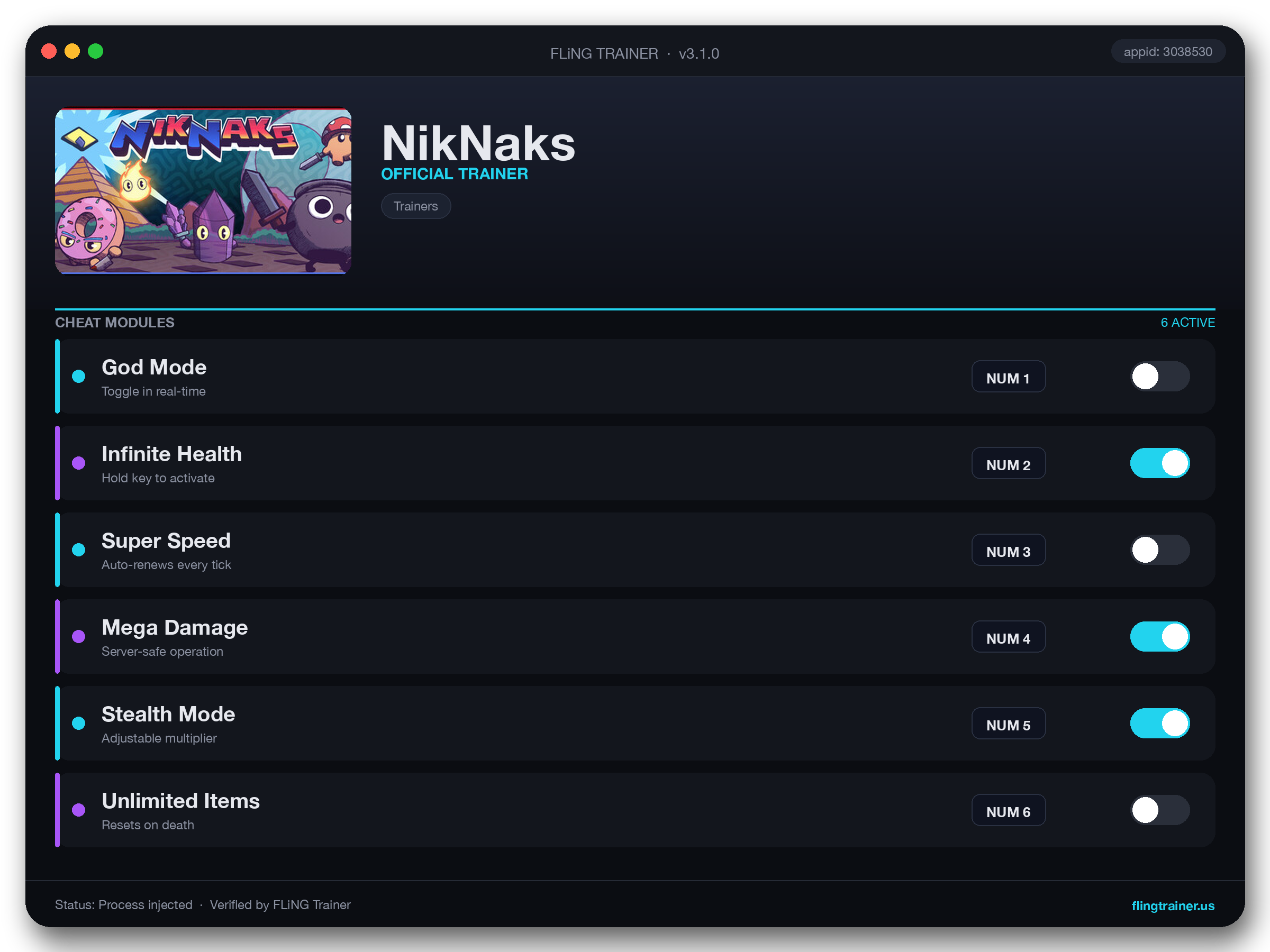 NikNaks Trainer interface