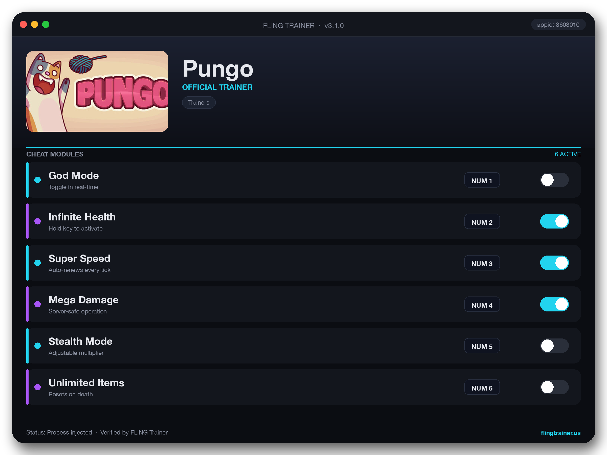 Pungo Trainer interface