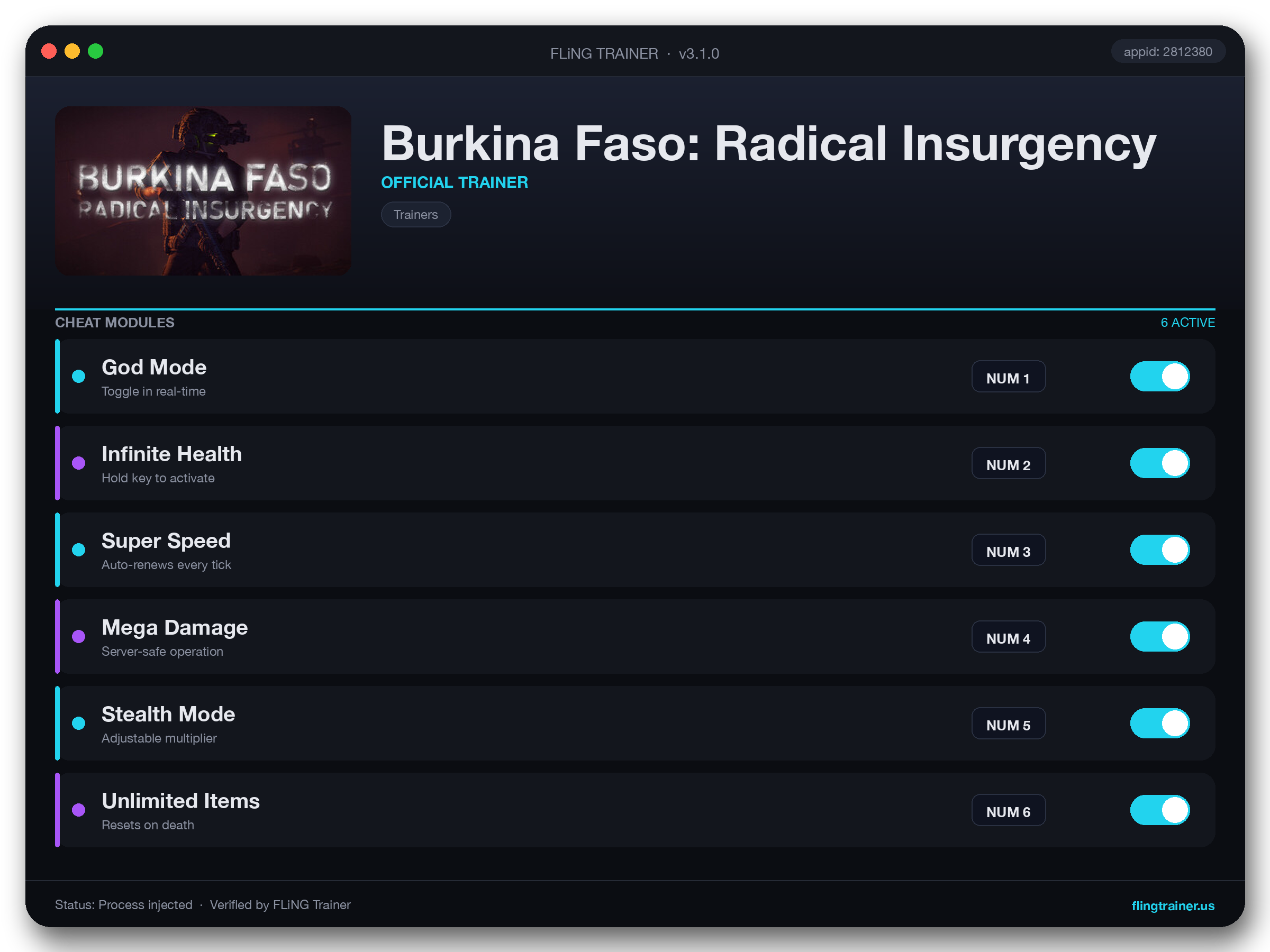 Burkina Faso: Radical Insurgency Trainer interface