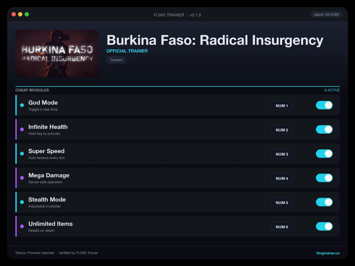 Burkina Faso: Radical Insurgency Trainer interface