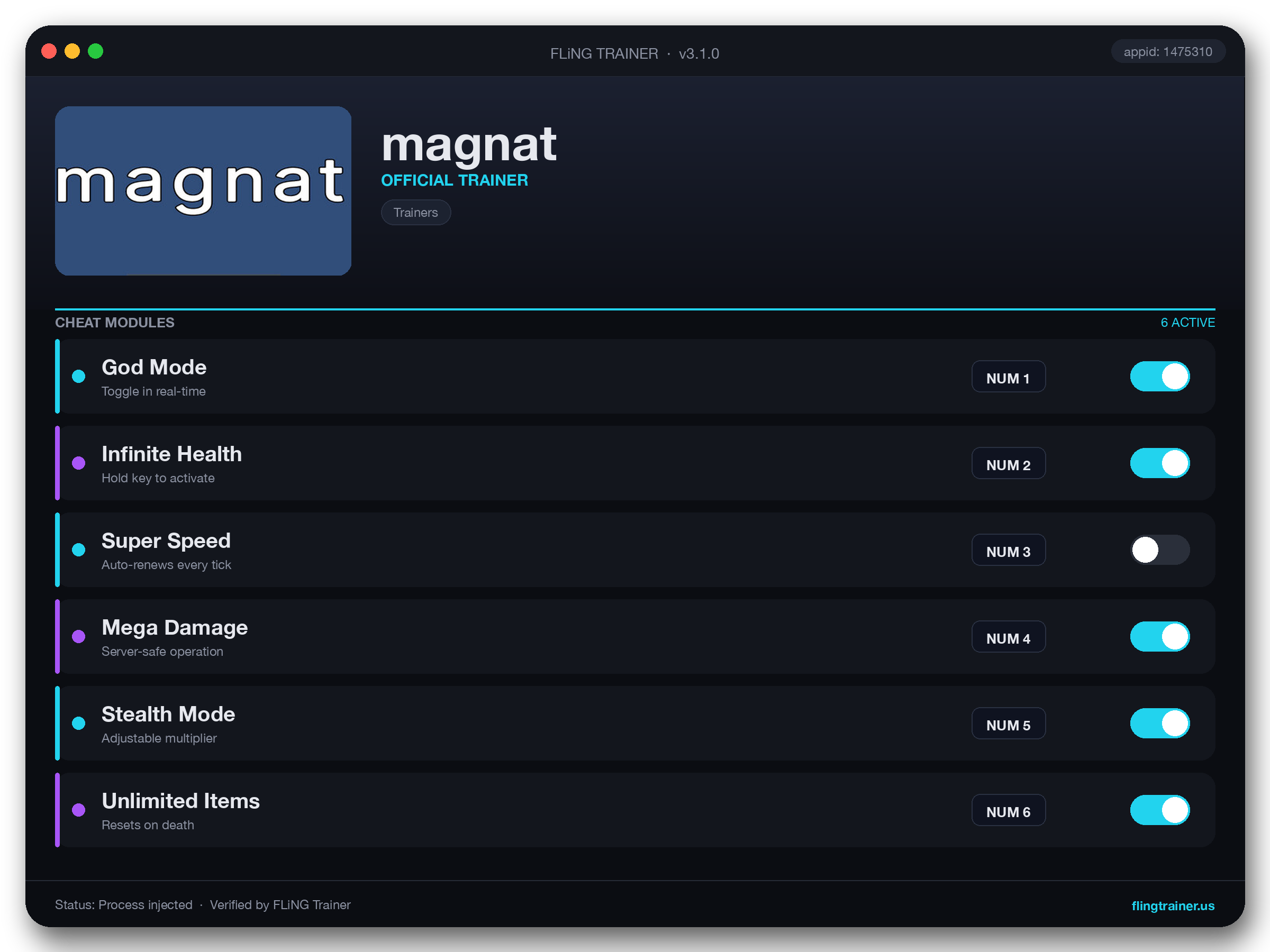 magnat Trainer interface