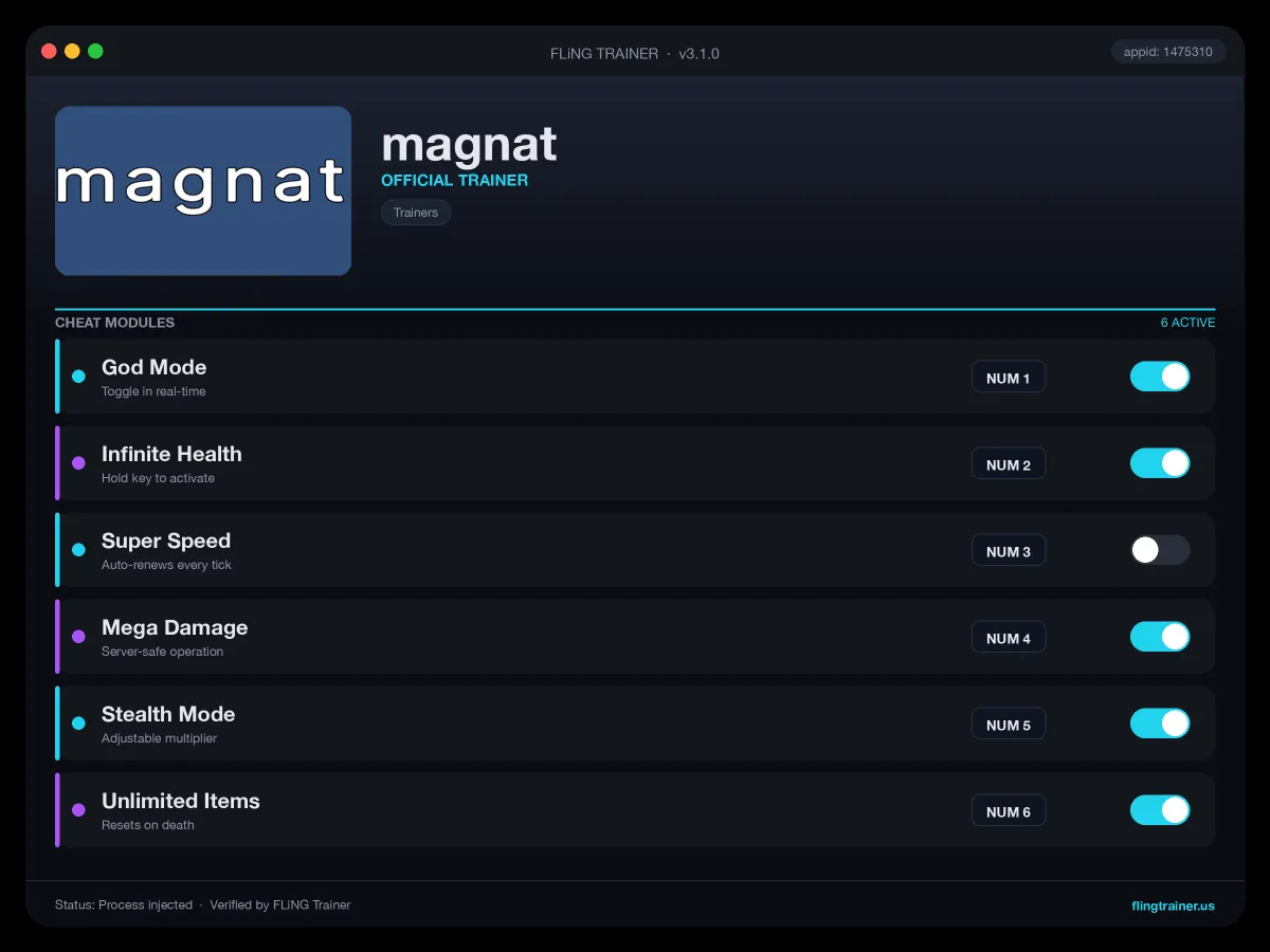 magnat Trainer interface