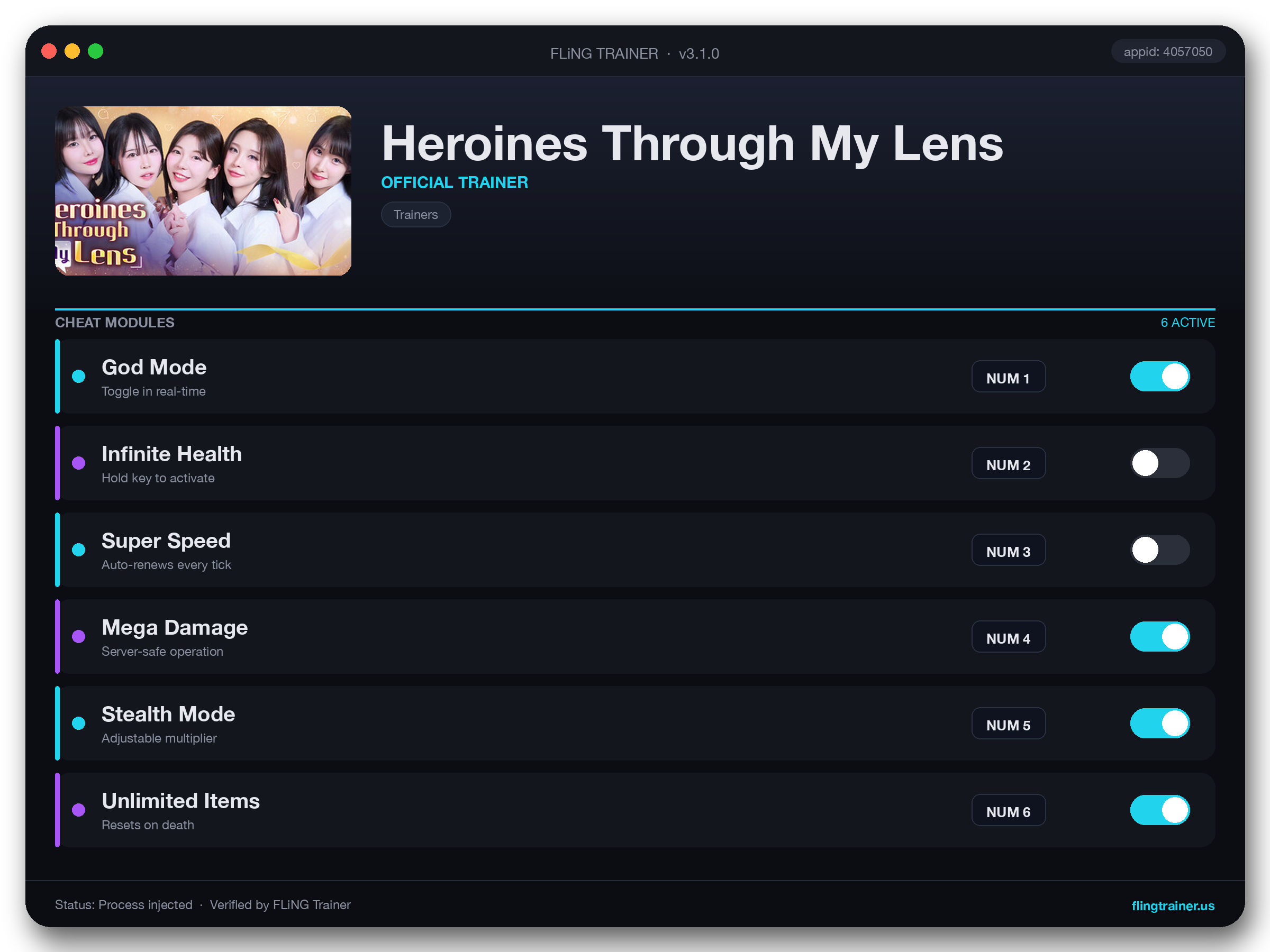 Heroines Through My Lens Trainer interface