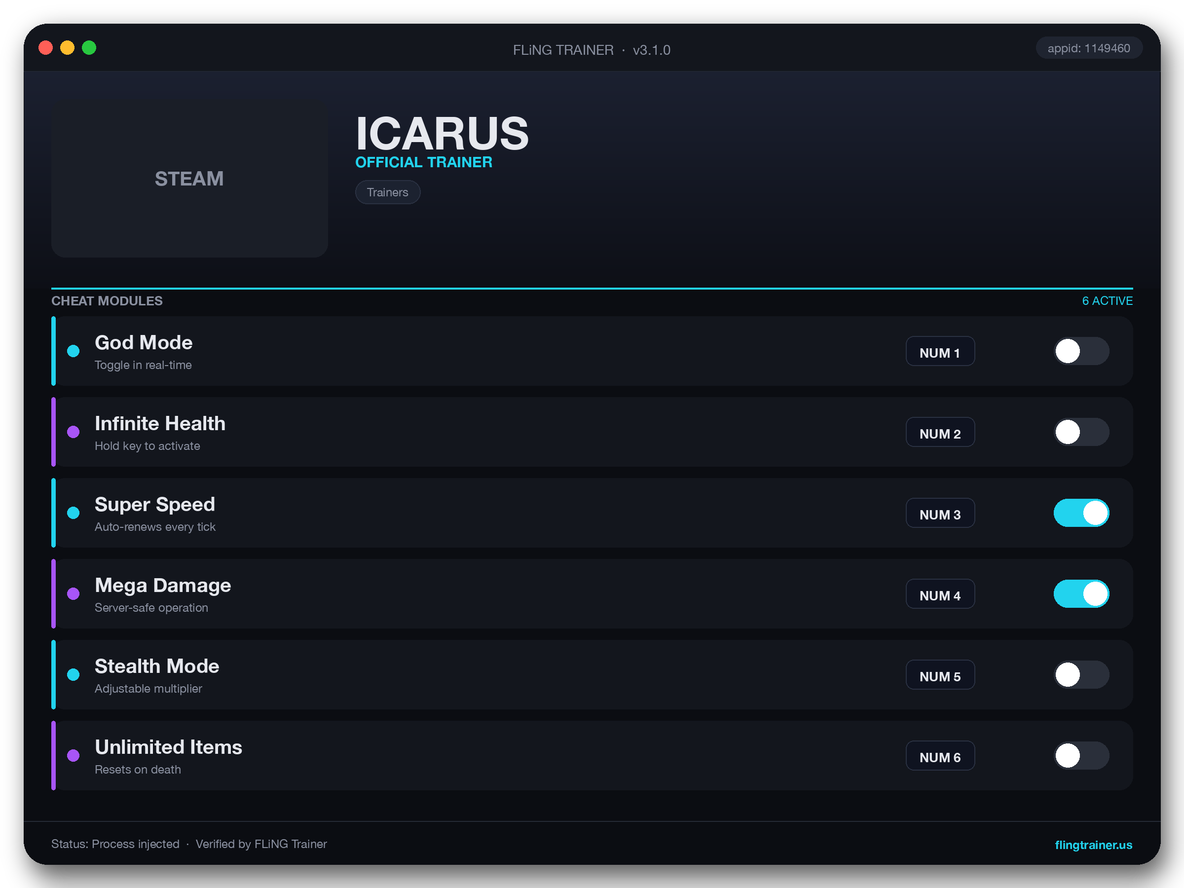 ICARUS Trainer interface