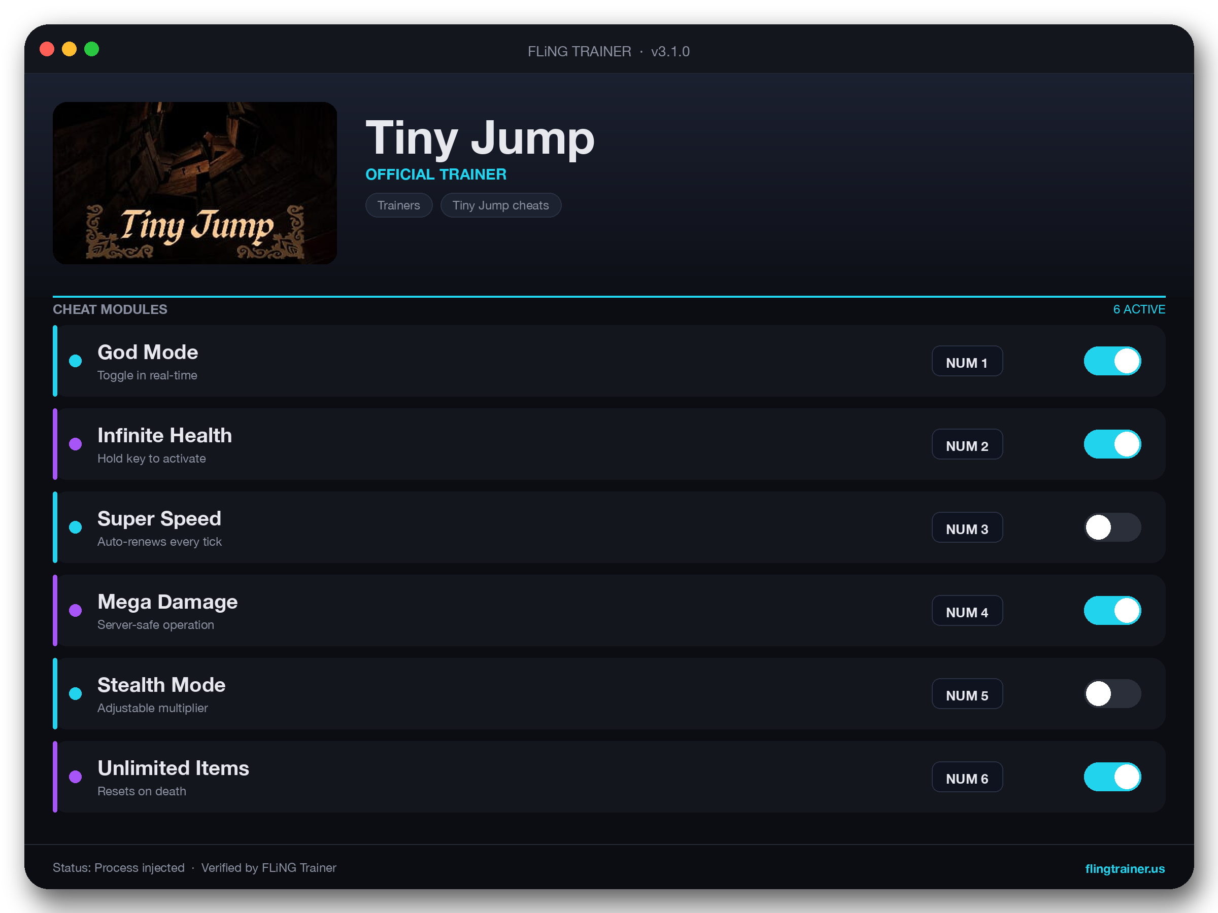 Tiny Jump Trainer interface