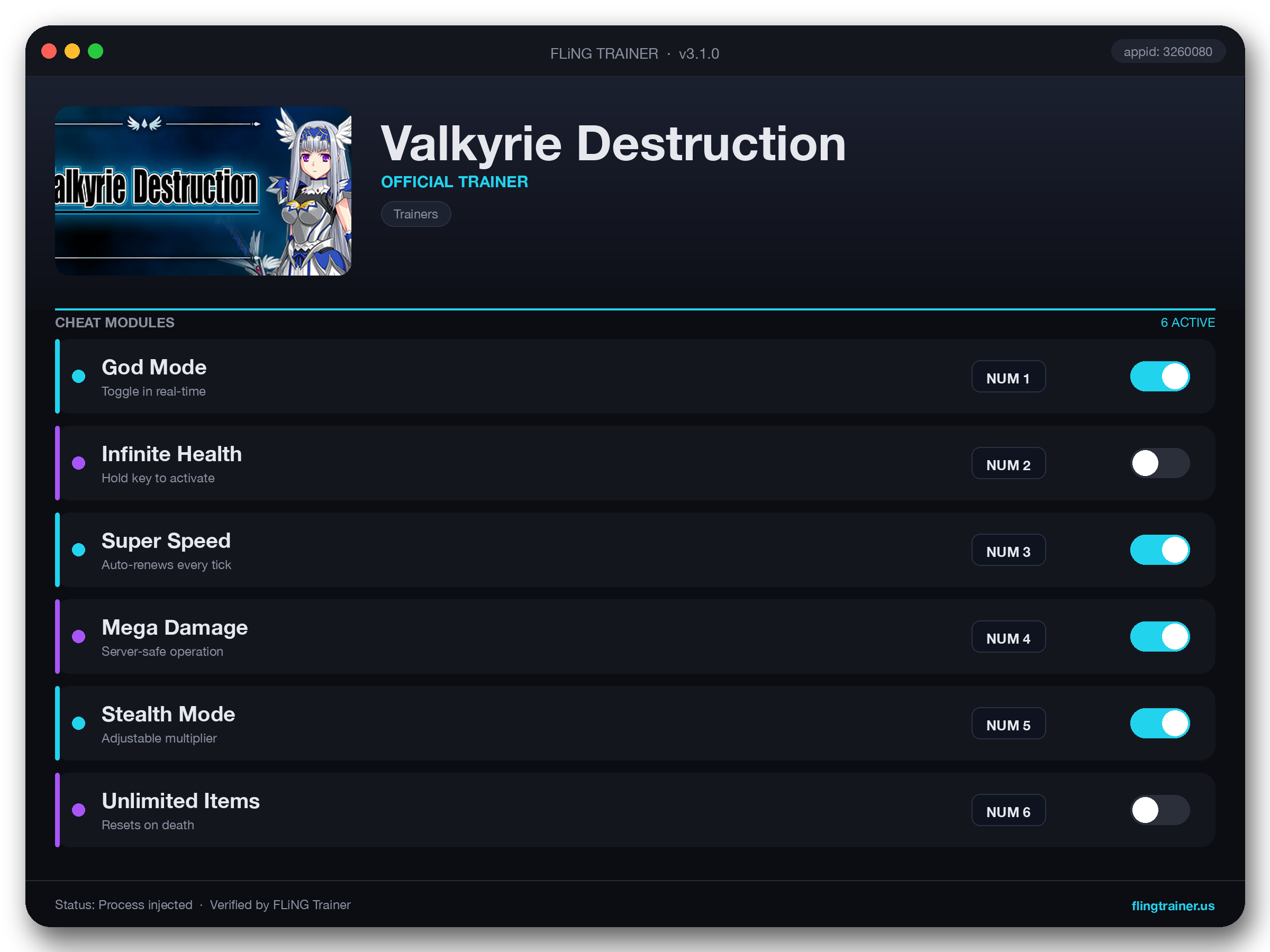 Valkyrie Destruction Trainer interface