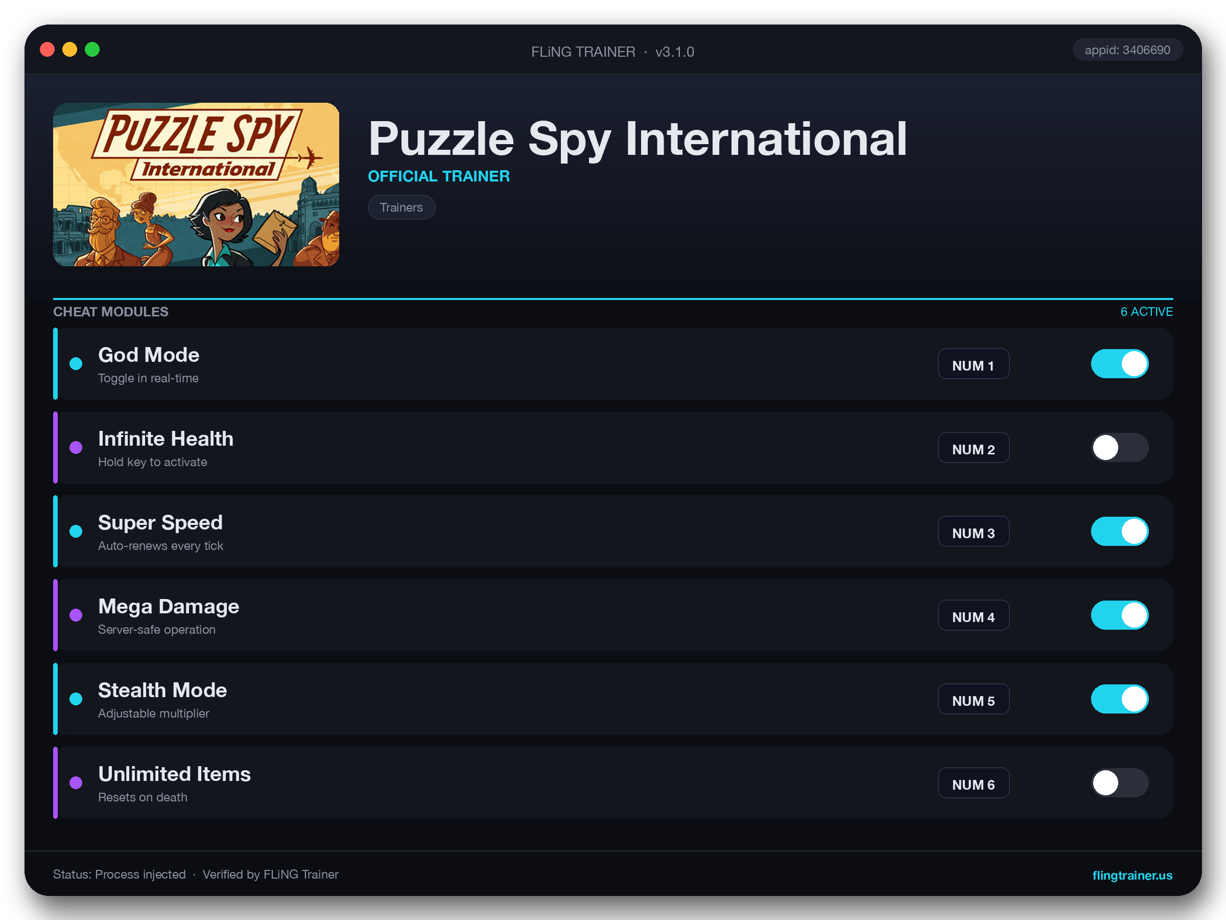 Puzzle Spy International Trainer interface