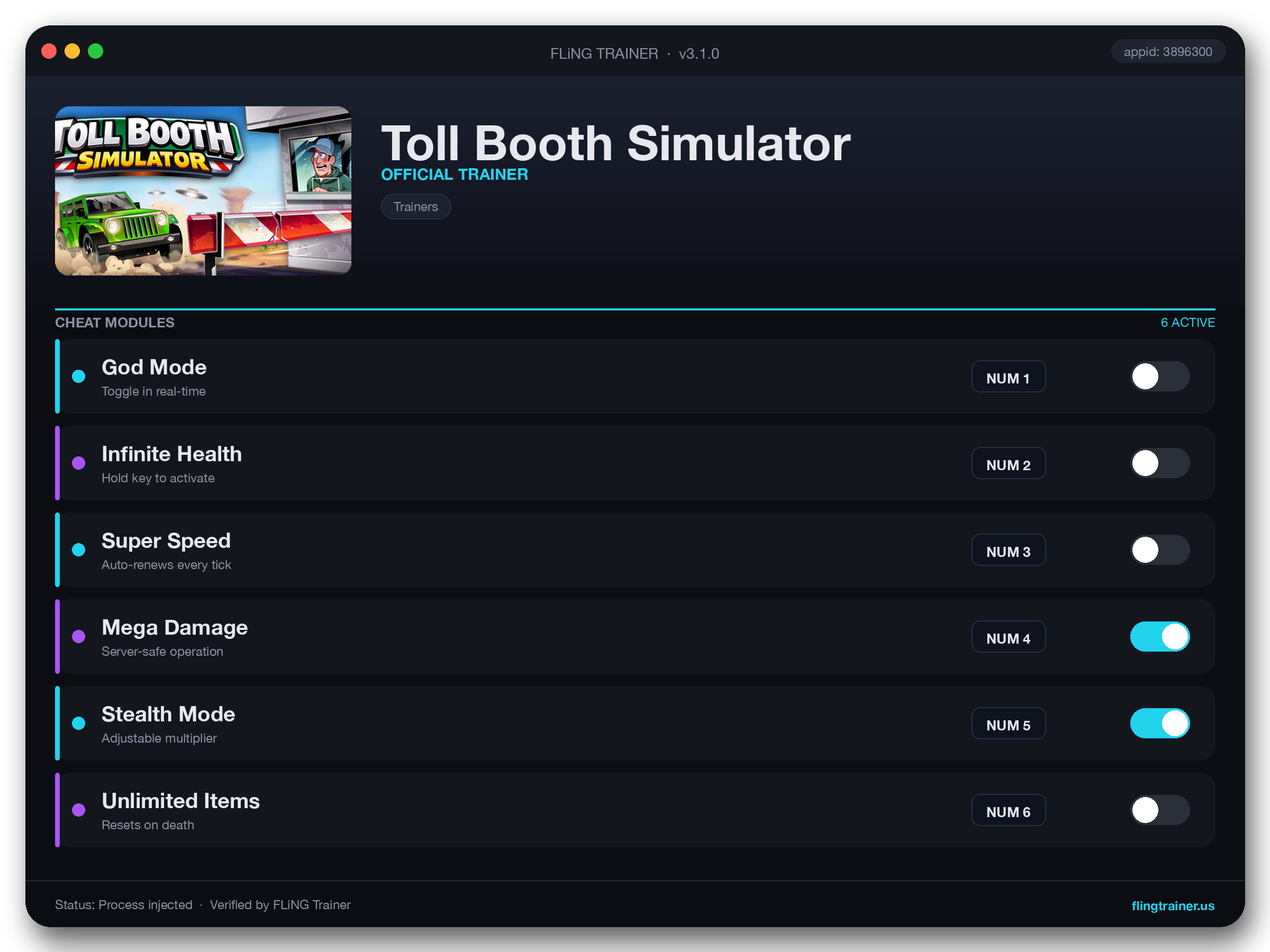 Toll Booth Simulator Trainer interface