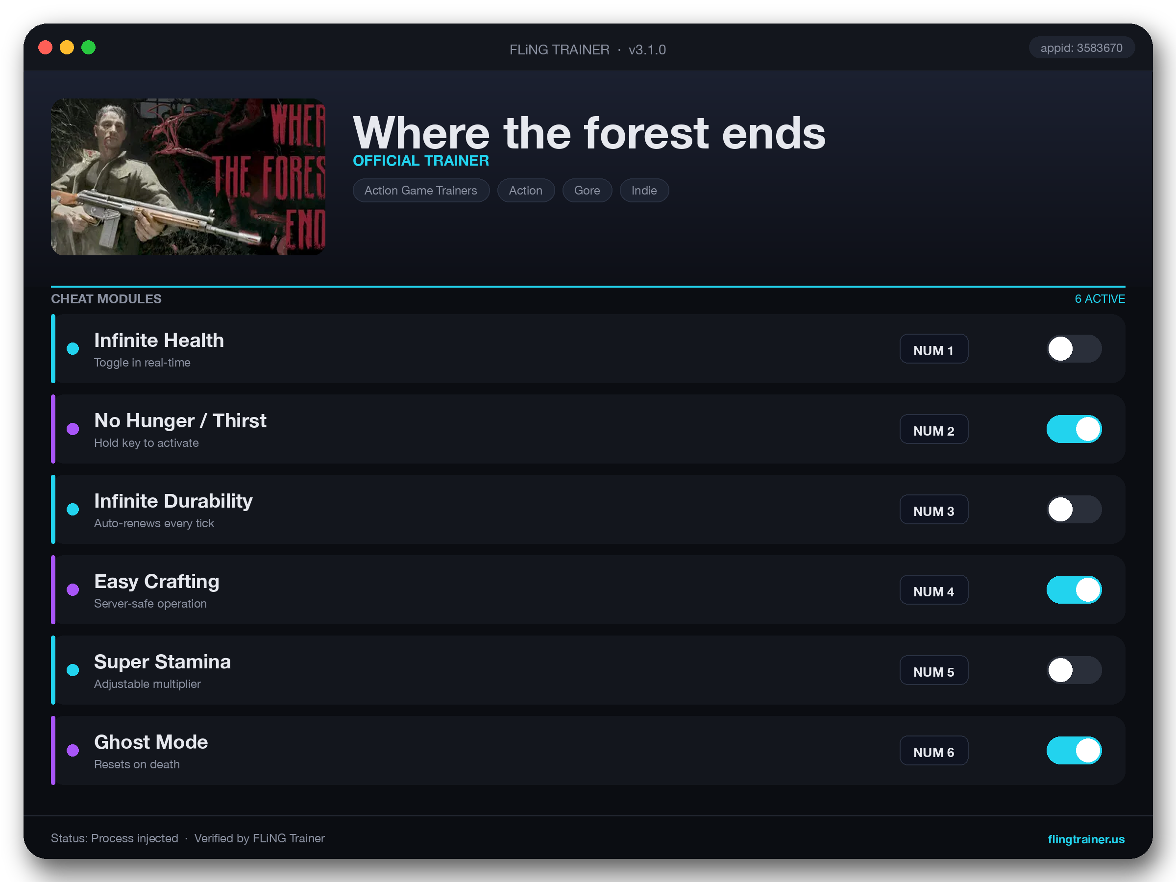 Where the forest ends Trainer interface