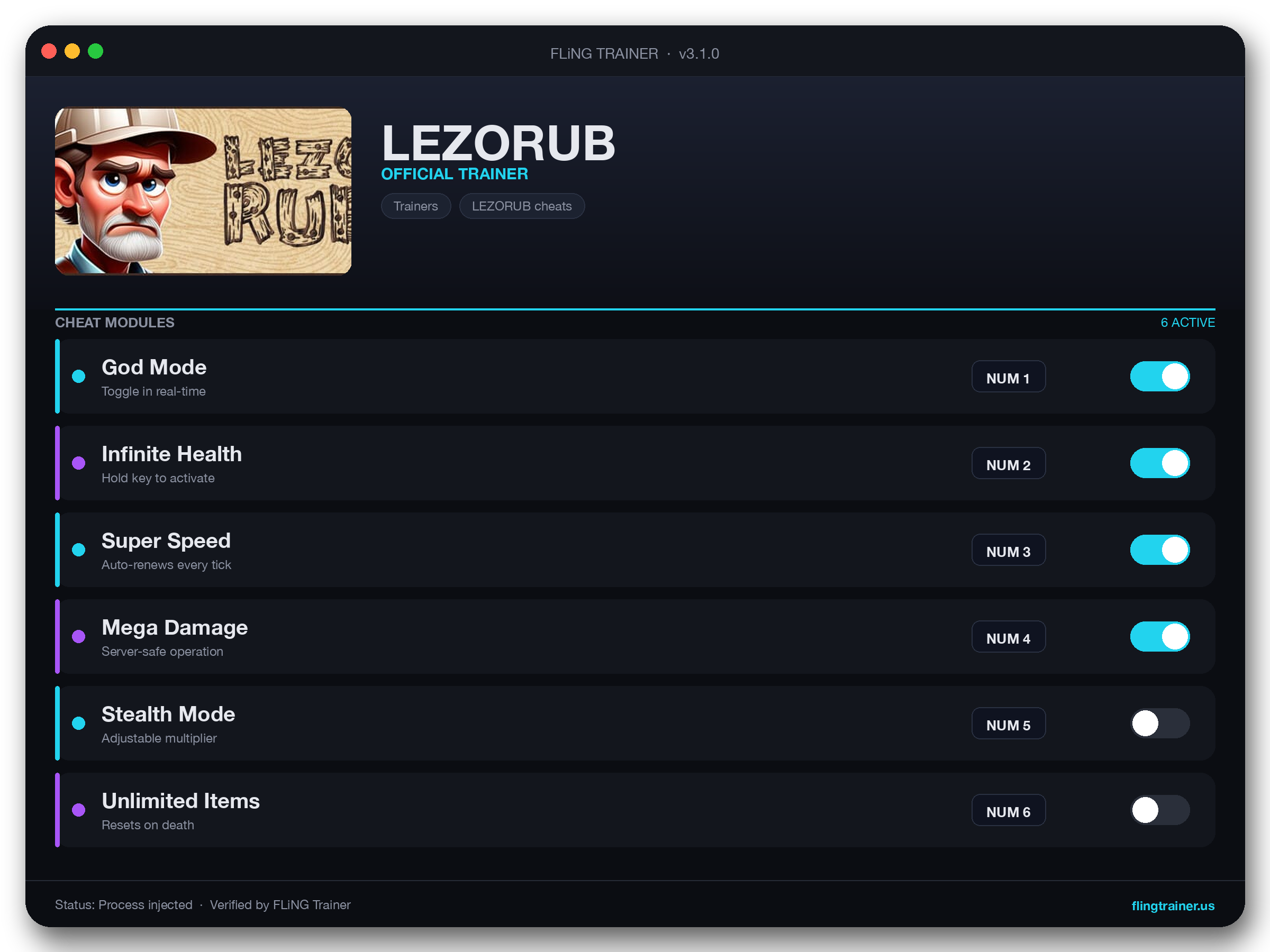 LEZORUB Trainer interface